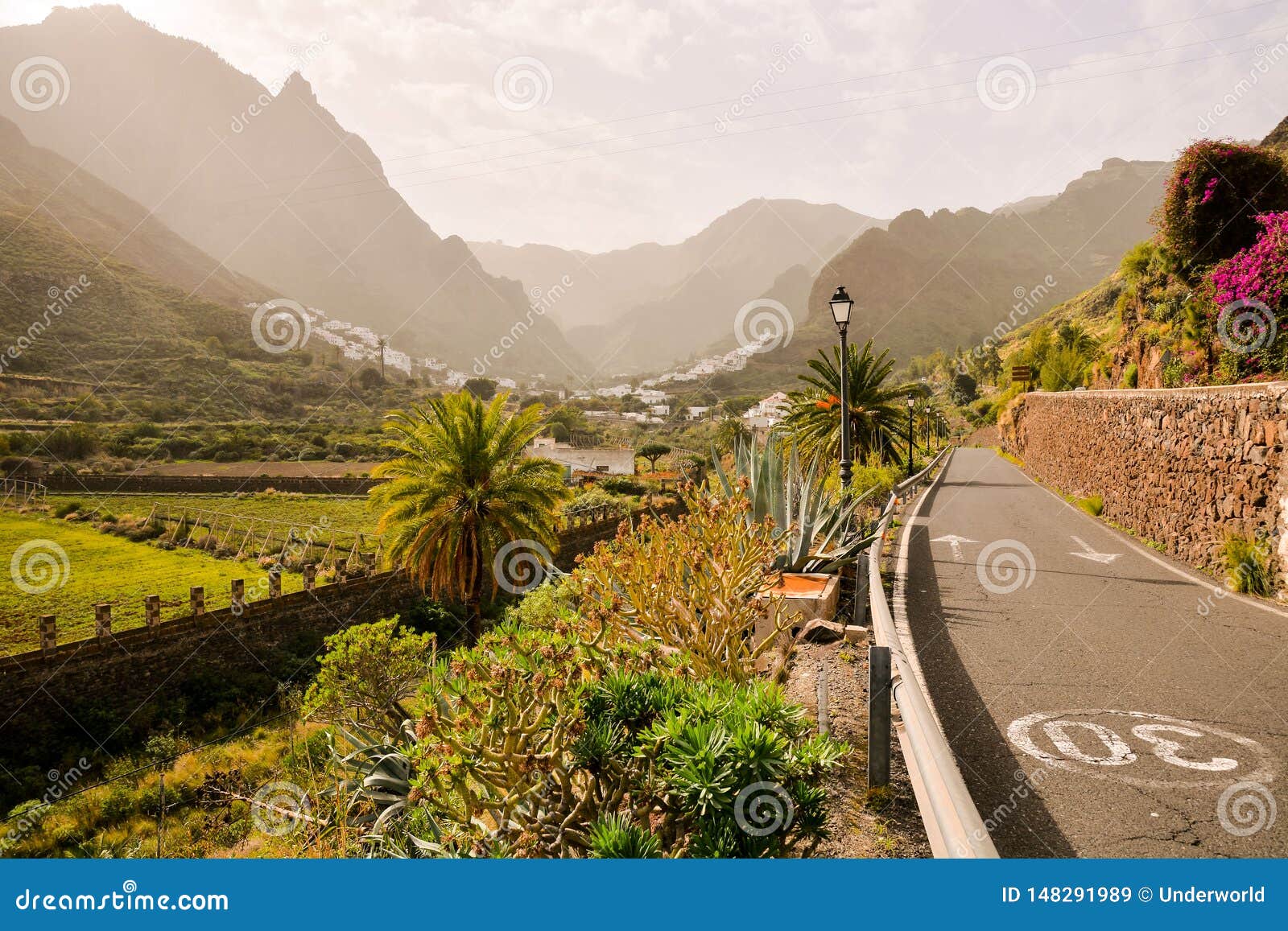 european natural countryside in agaete gran canaria