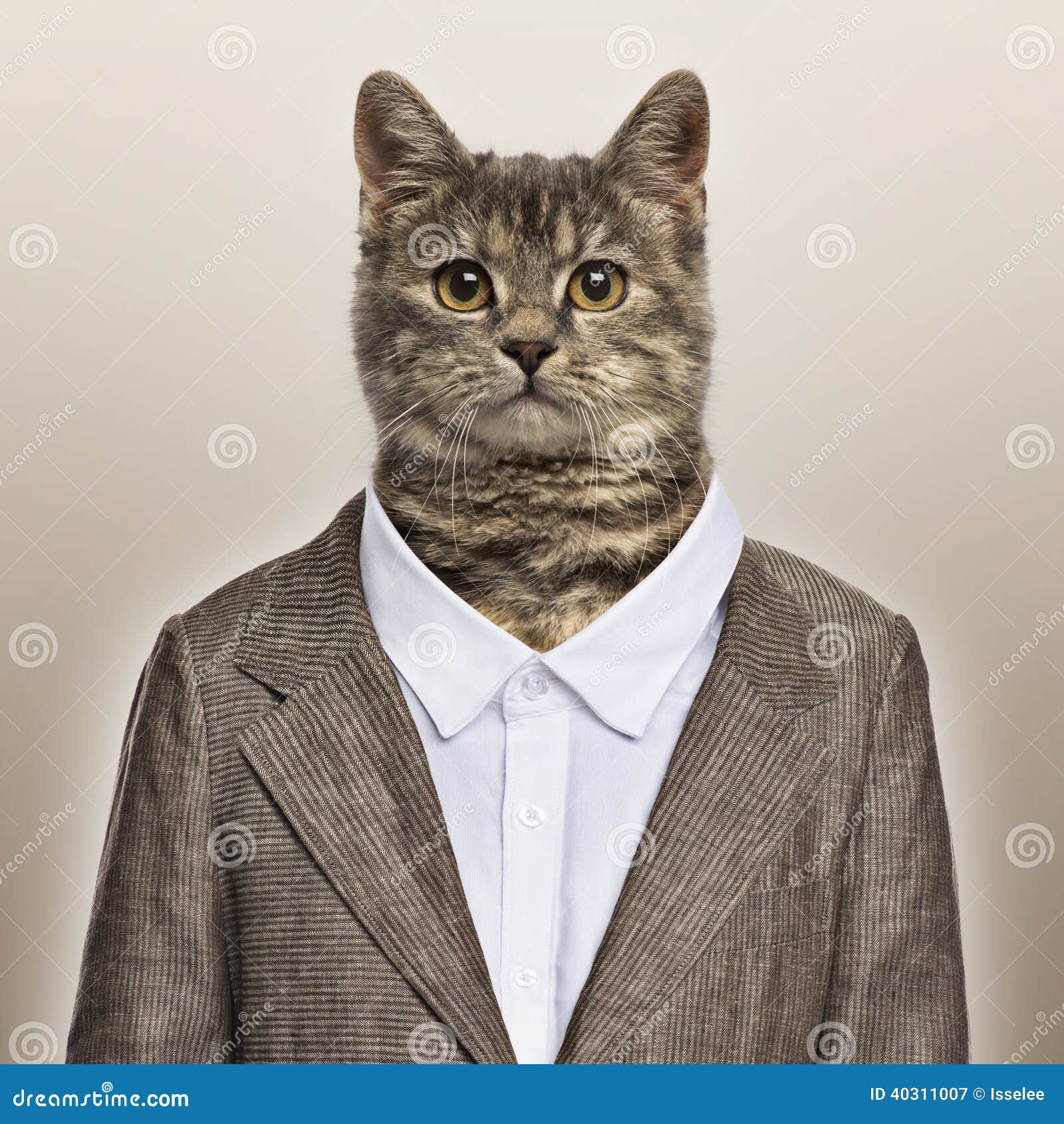 Cat Wearing Coat Stock Illustrations – 258 Cat Wearing Coat Stock  Illustrations, Vectors & Clipart - Dreamstime