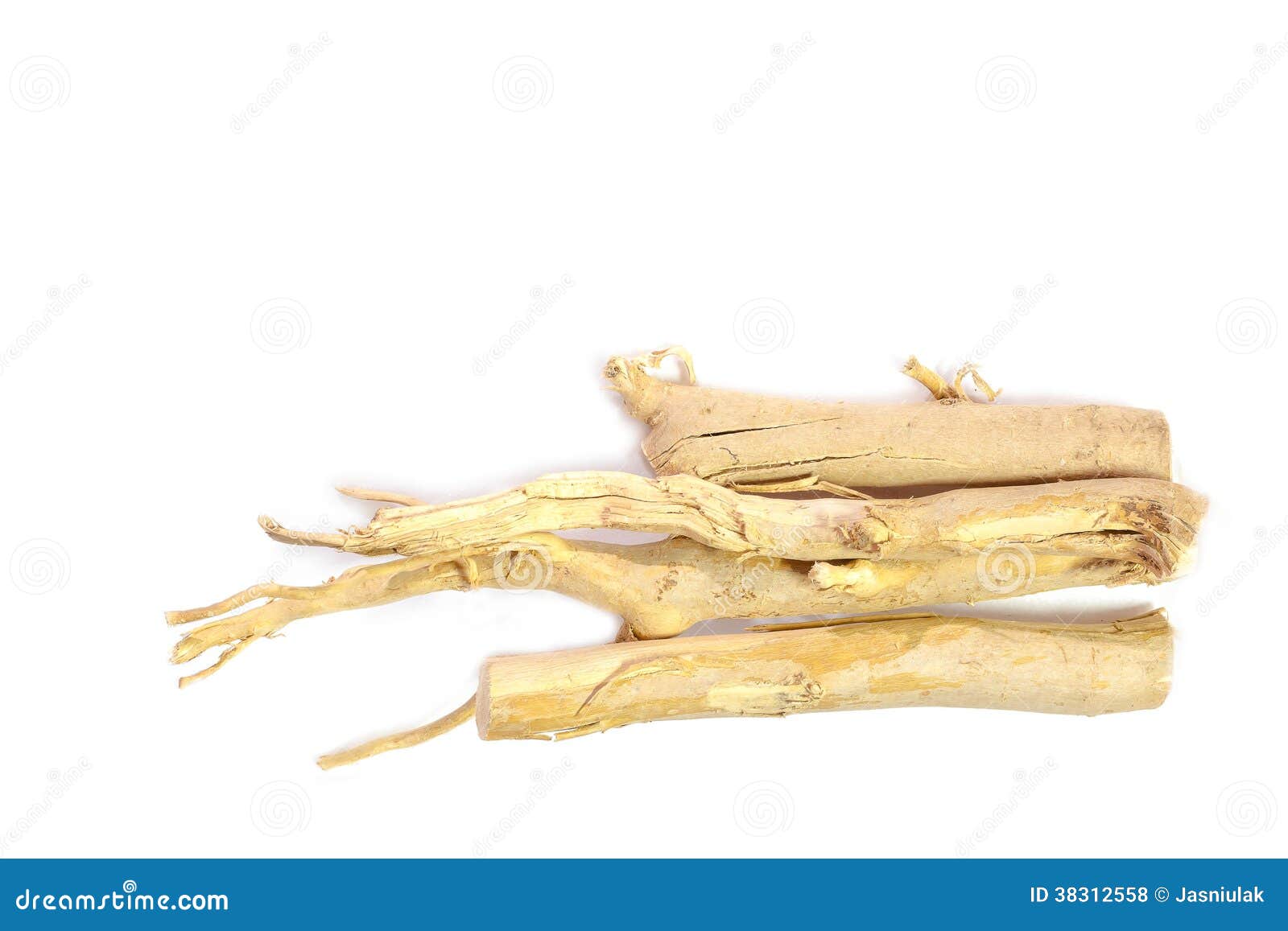 Alias Tongkat Ali. Stockfoto Bild von gesundheit