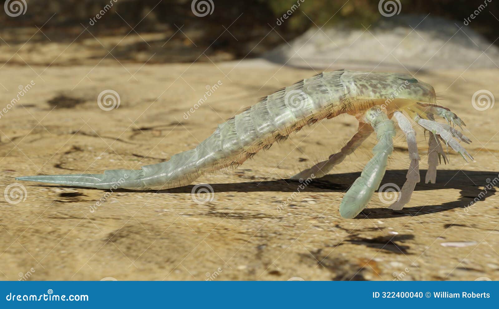 eurypterus remipes on a silurian beach