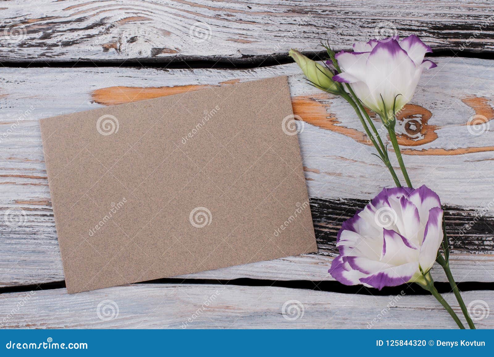 Download Eustoma Flowers And Blank Beige Paper. Stock Photo - Image ...