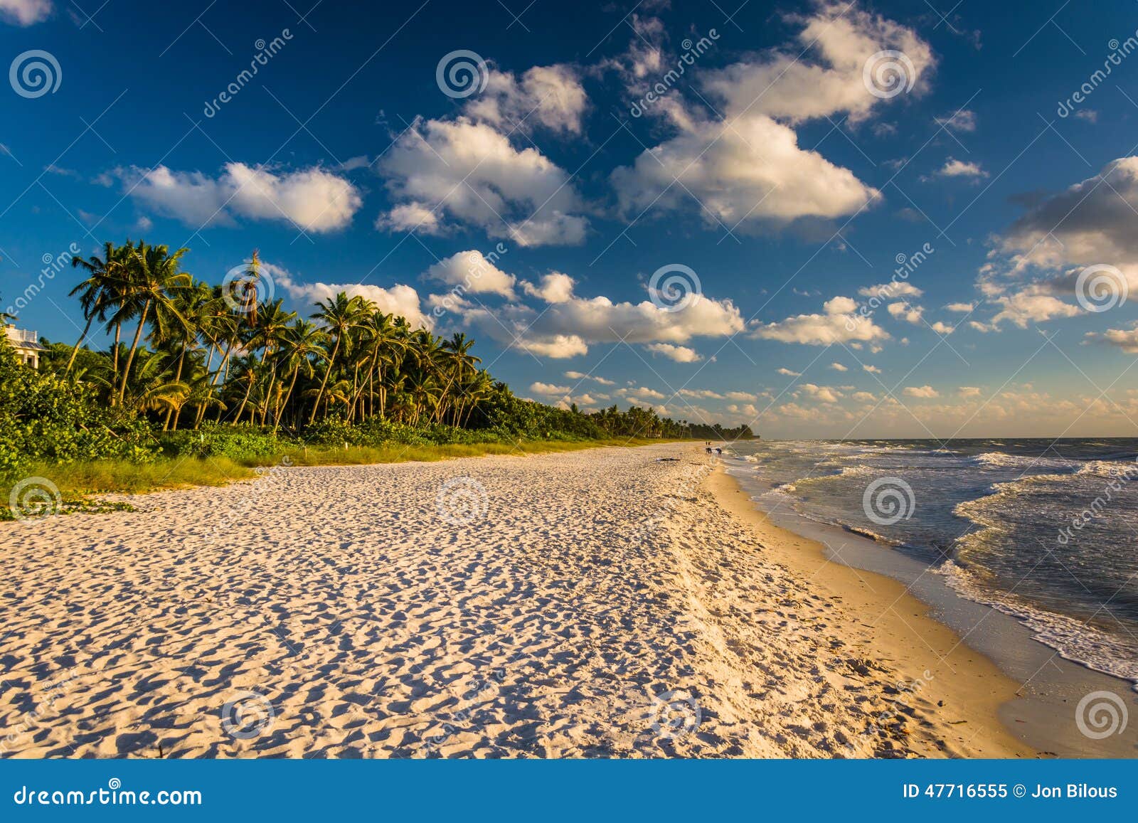 evening light at the beach in naples, florida.