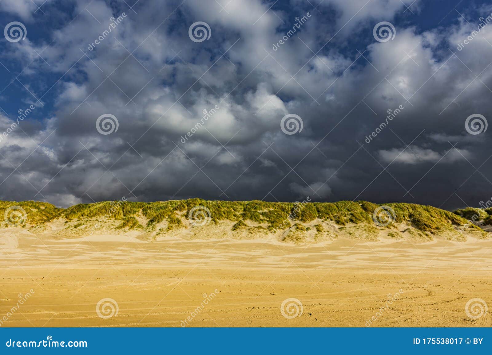 evening mood with stromy clouds in dune landscape
