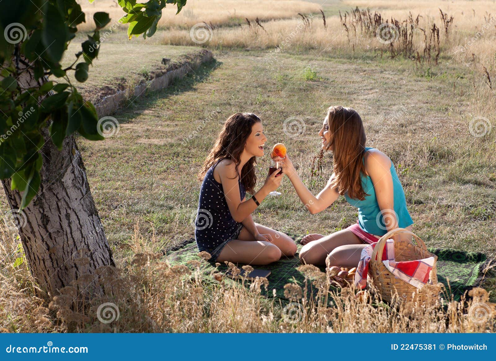 Evening picnic stock image. Image of outdoors, fruit 22475381