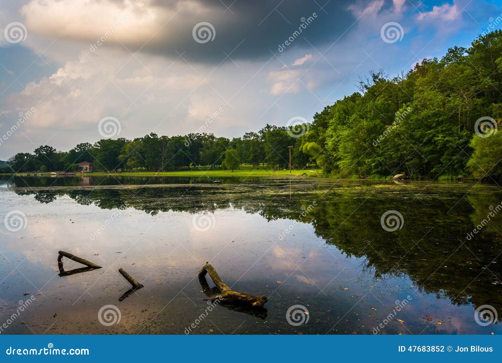 evening reflections in a swampy area of lake pinchot, gifford pi