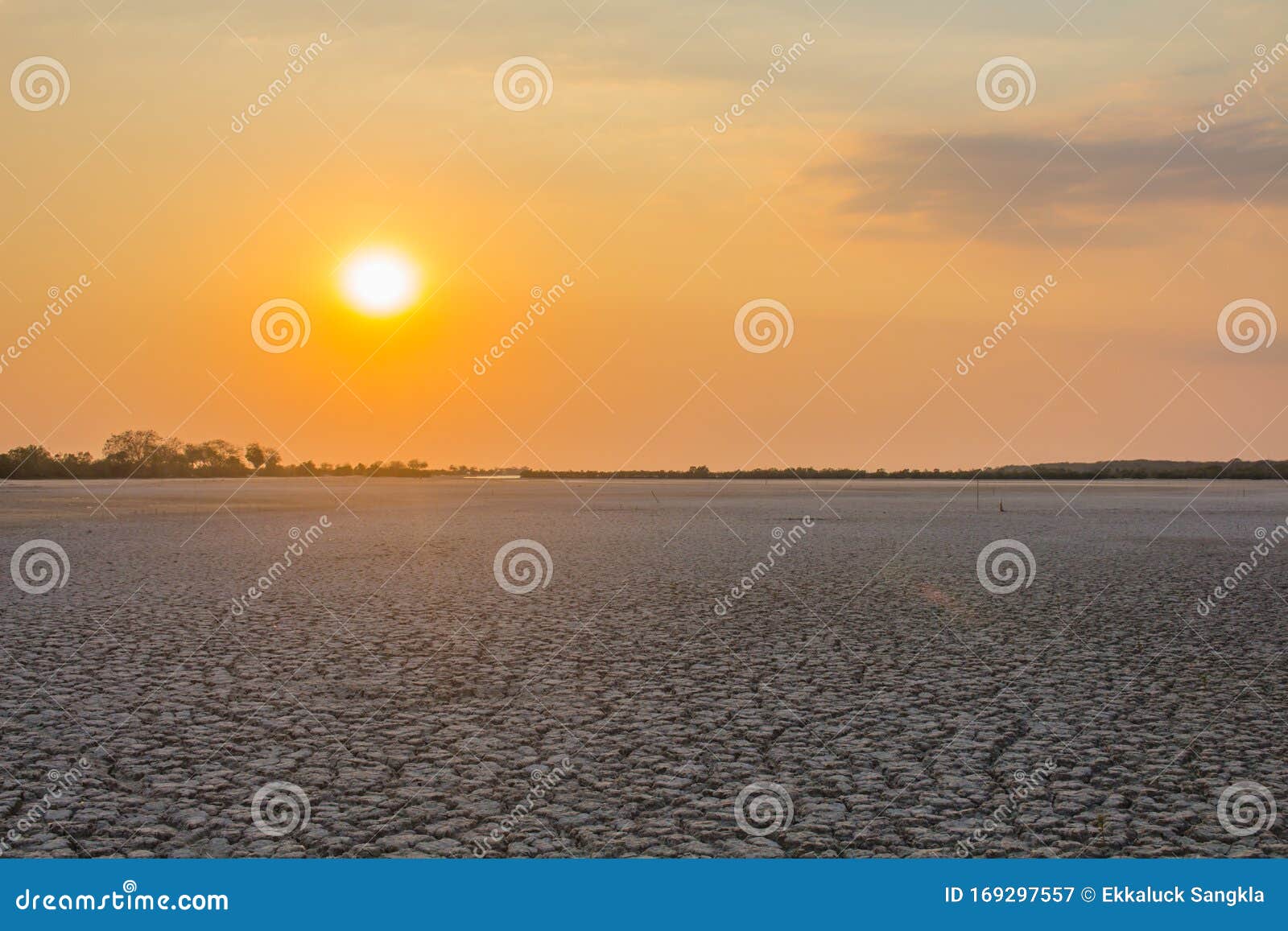 in the evening the tree leaves the gargoyle and sunshine on the dry land until the el nino phenomenon. greenhouse effect global