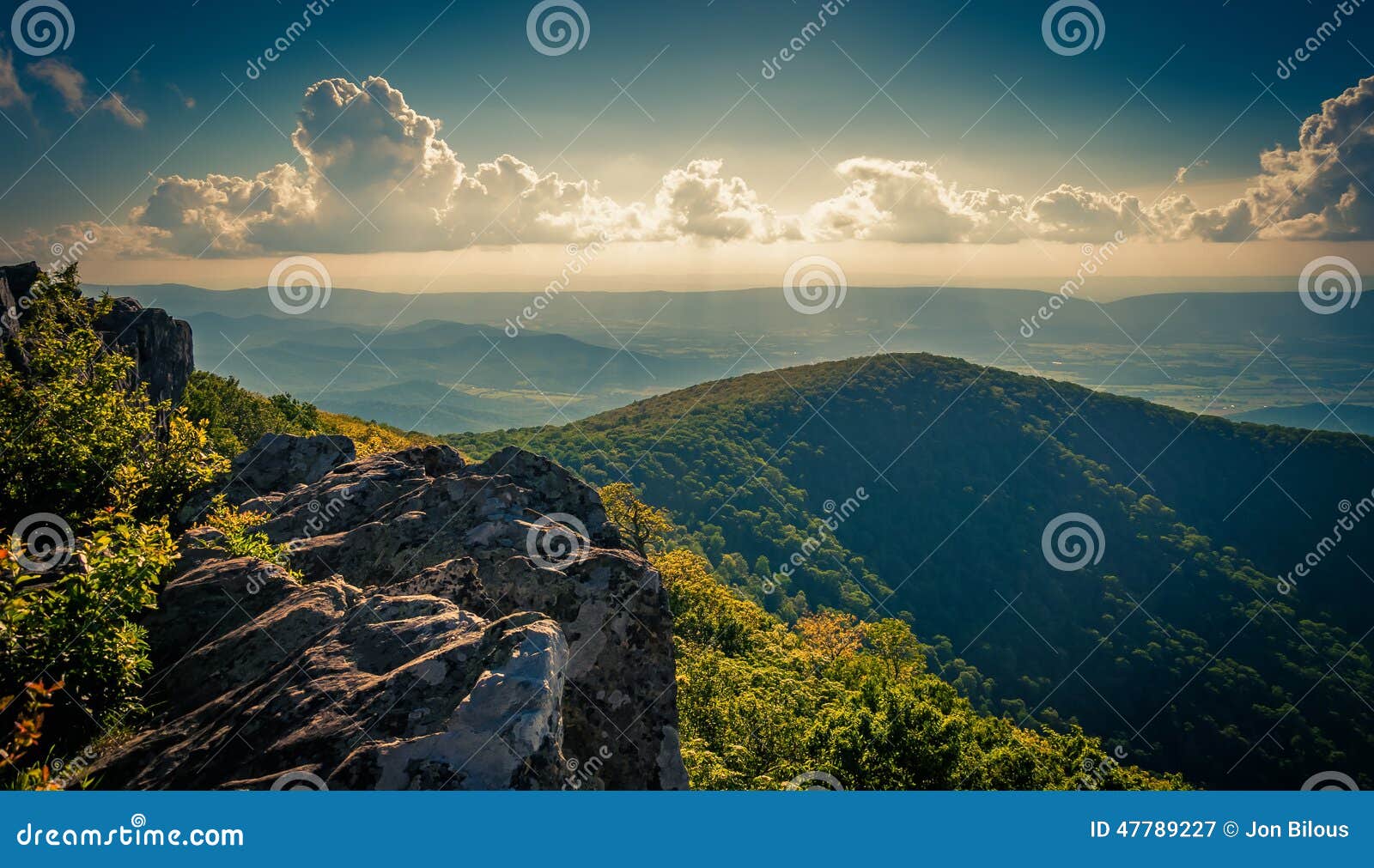 evening view from cliffs on hawksbill summit, in shenandoah national park, virginia.