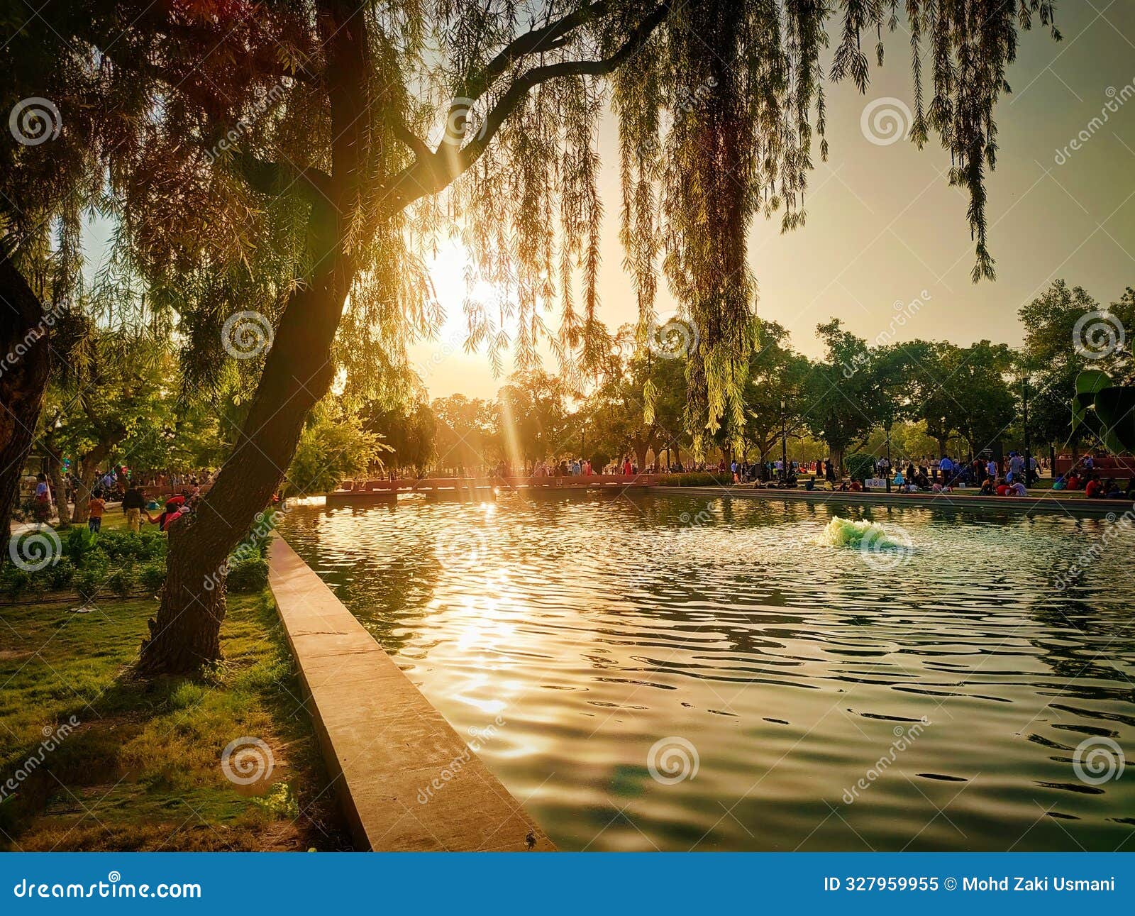 beautiful view of a pond at sunset