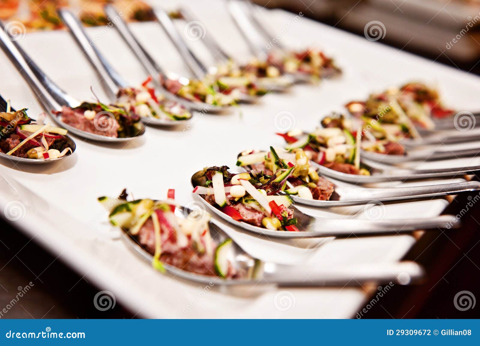 Event food stock photo. Image of conference, tray, food - 29309672
