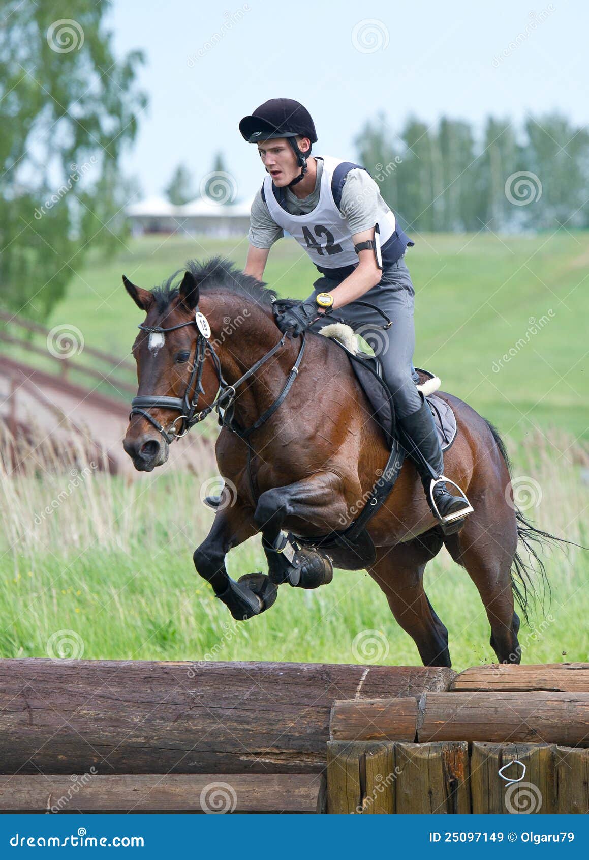 Eventer on Horse is Drop Fence in Water Jump Editorial Stock Image