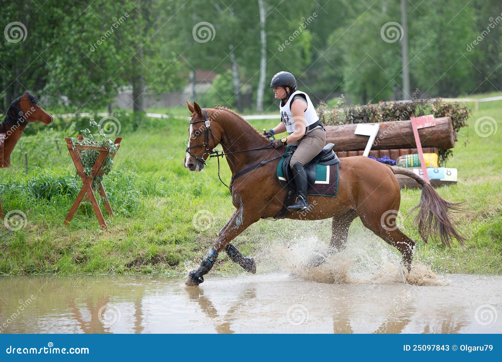Eventer on Horse is the Water Jump Editorial Stock Photo Image of event, brave 25097843