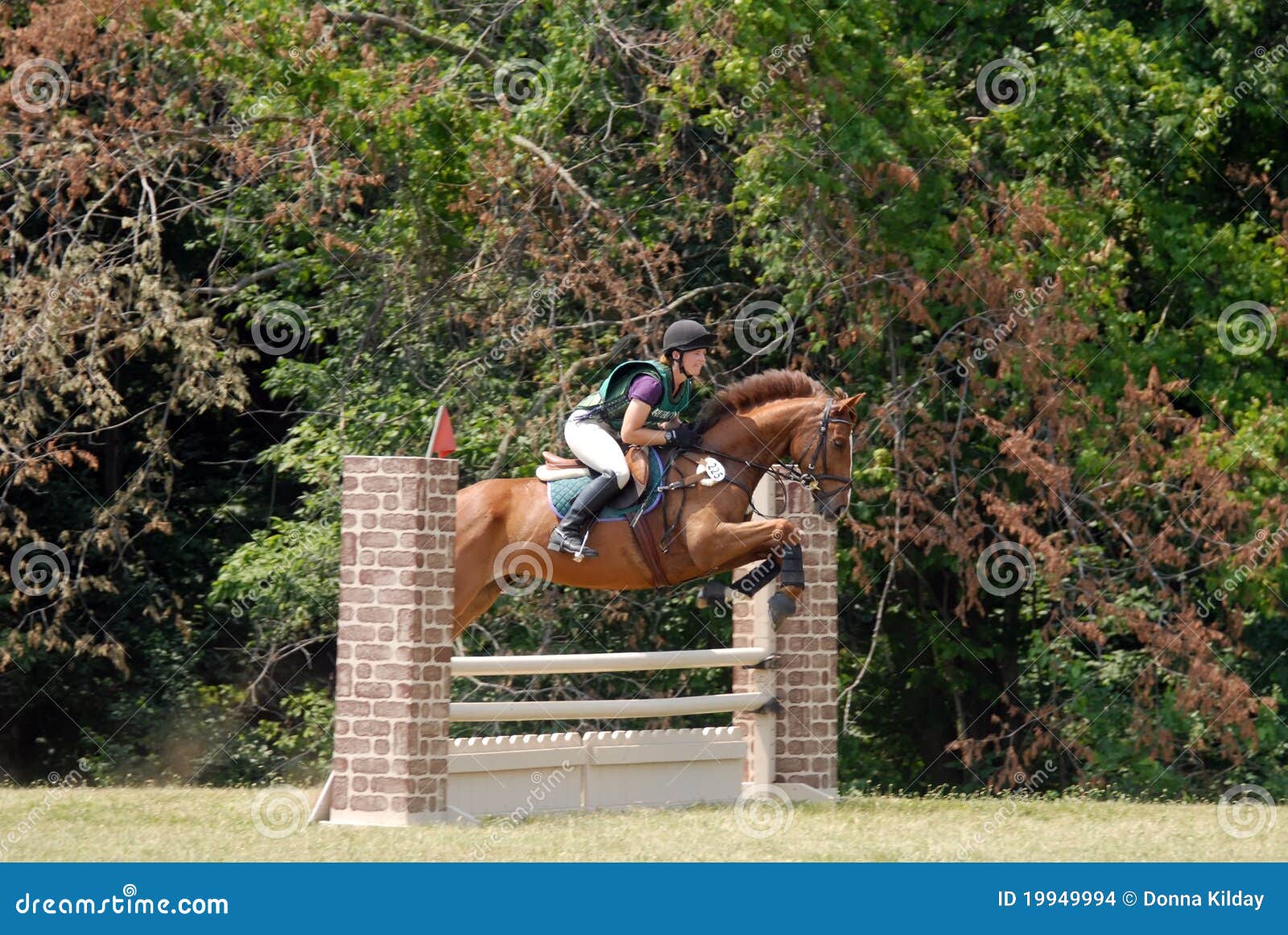 110+ Cross Country Equestre Ilustrações fotos de stock, imagens e fotos  royalty-free - iStock