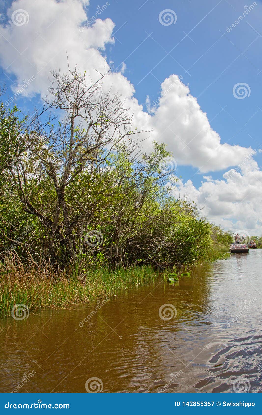 Everglades. Marais parc national, la Floride, Etats-Unis