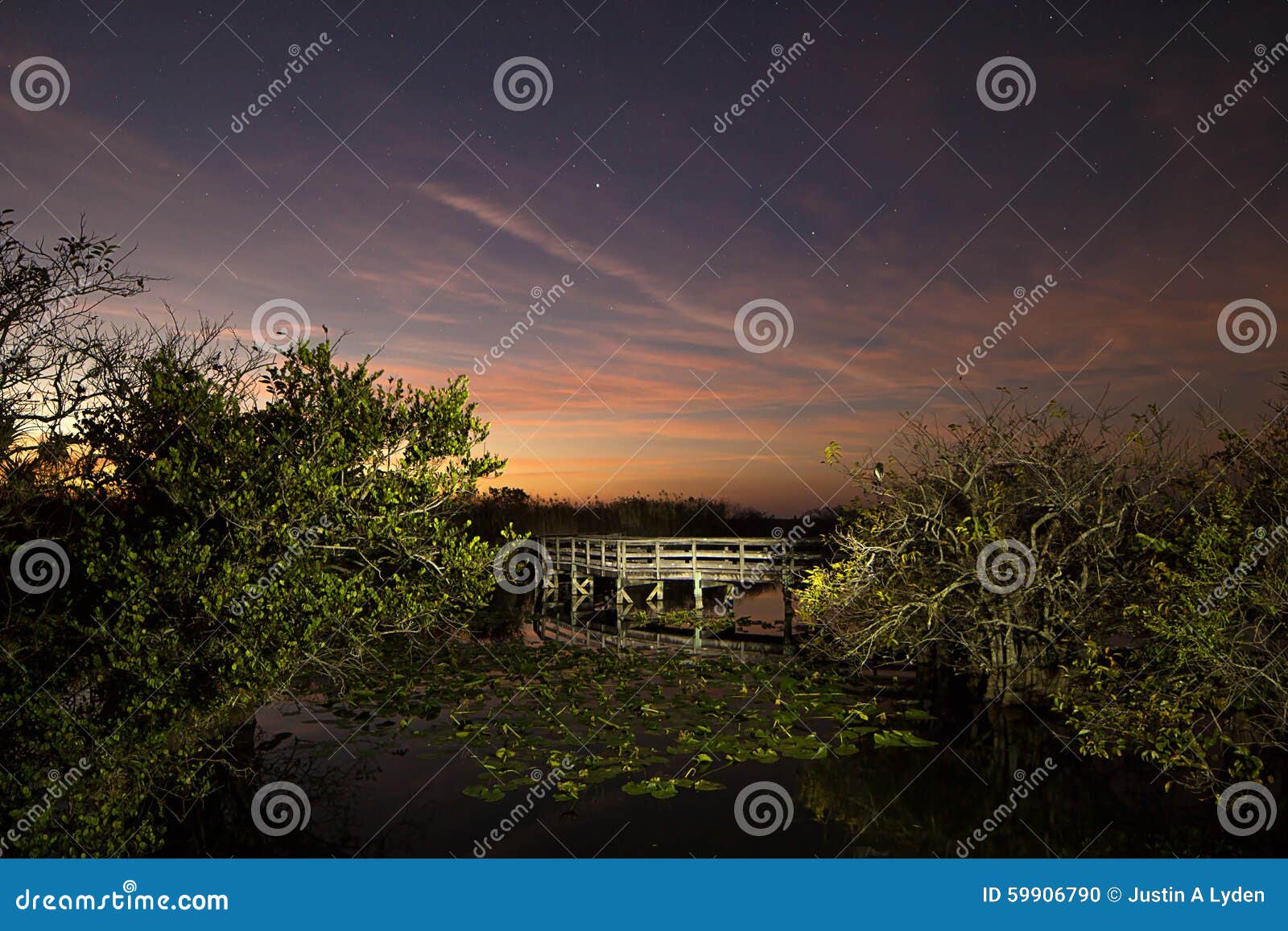 everglades sunset - anhinga at twighlight