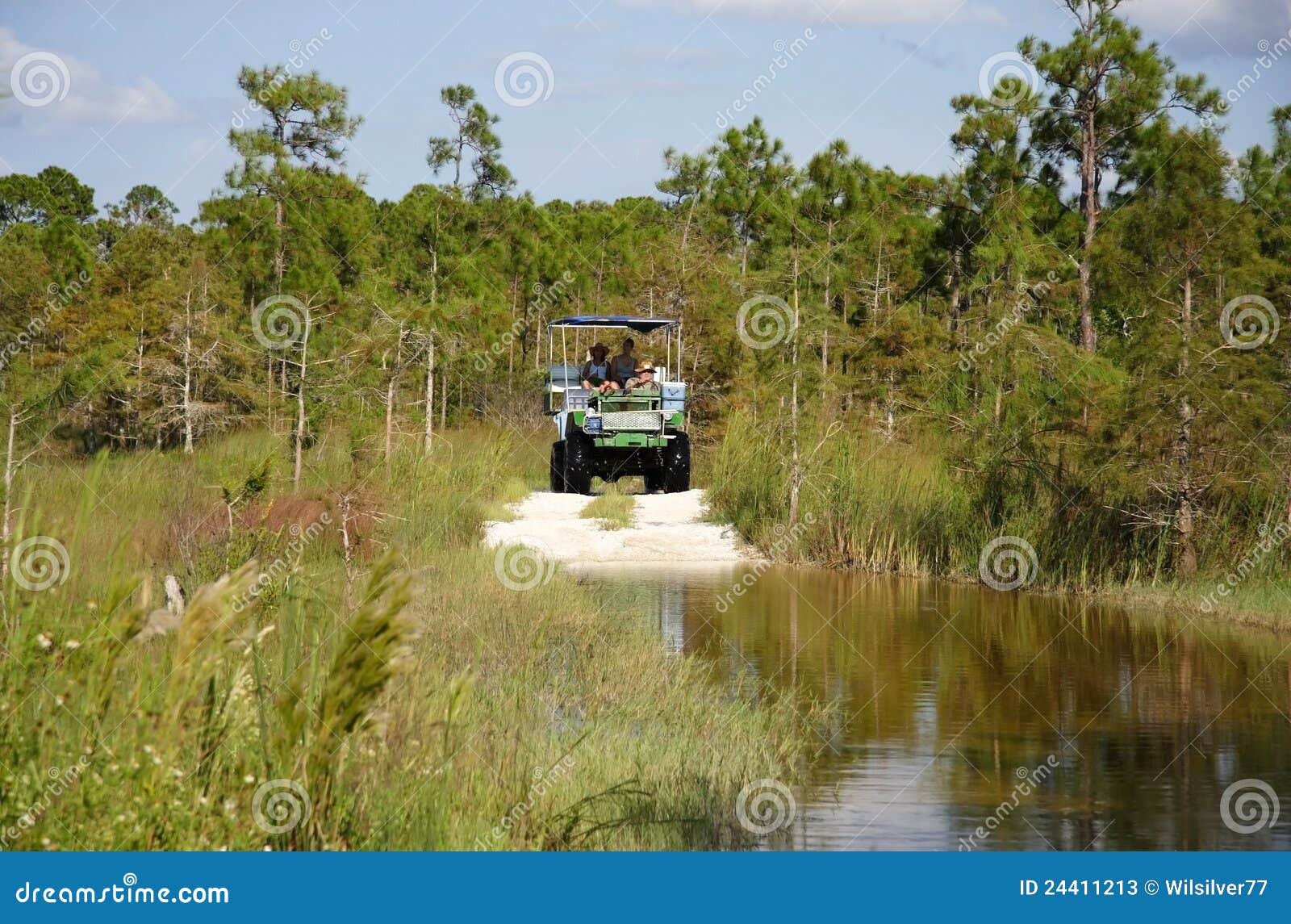 swamp buggy tours near me