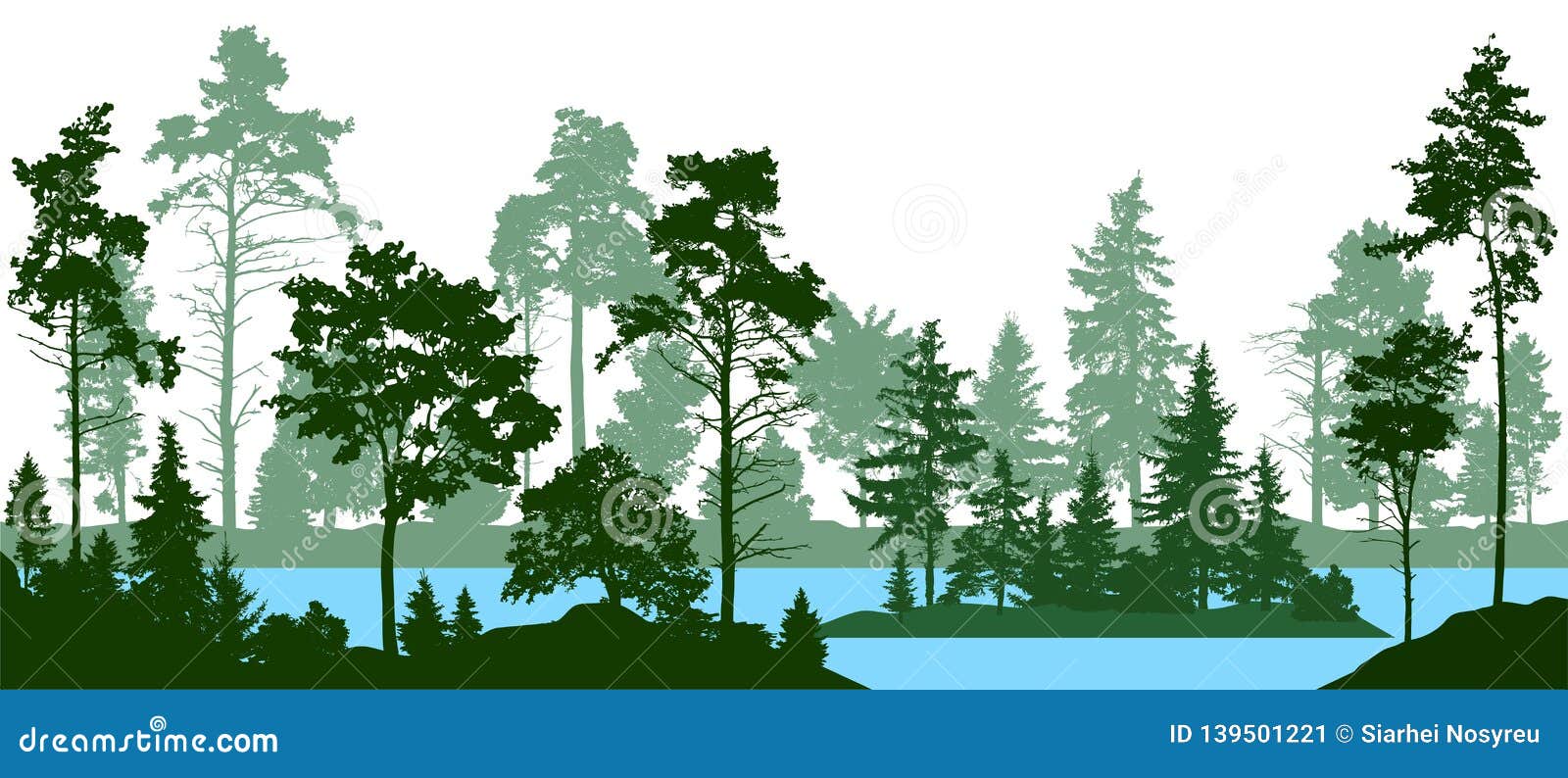 evergreen coniferous forest with pines, fir trees, christmas tree, cedar, scotch fir. forest silhouette trees. lake river 