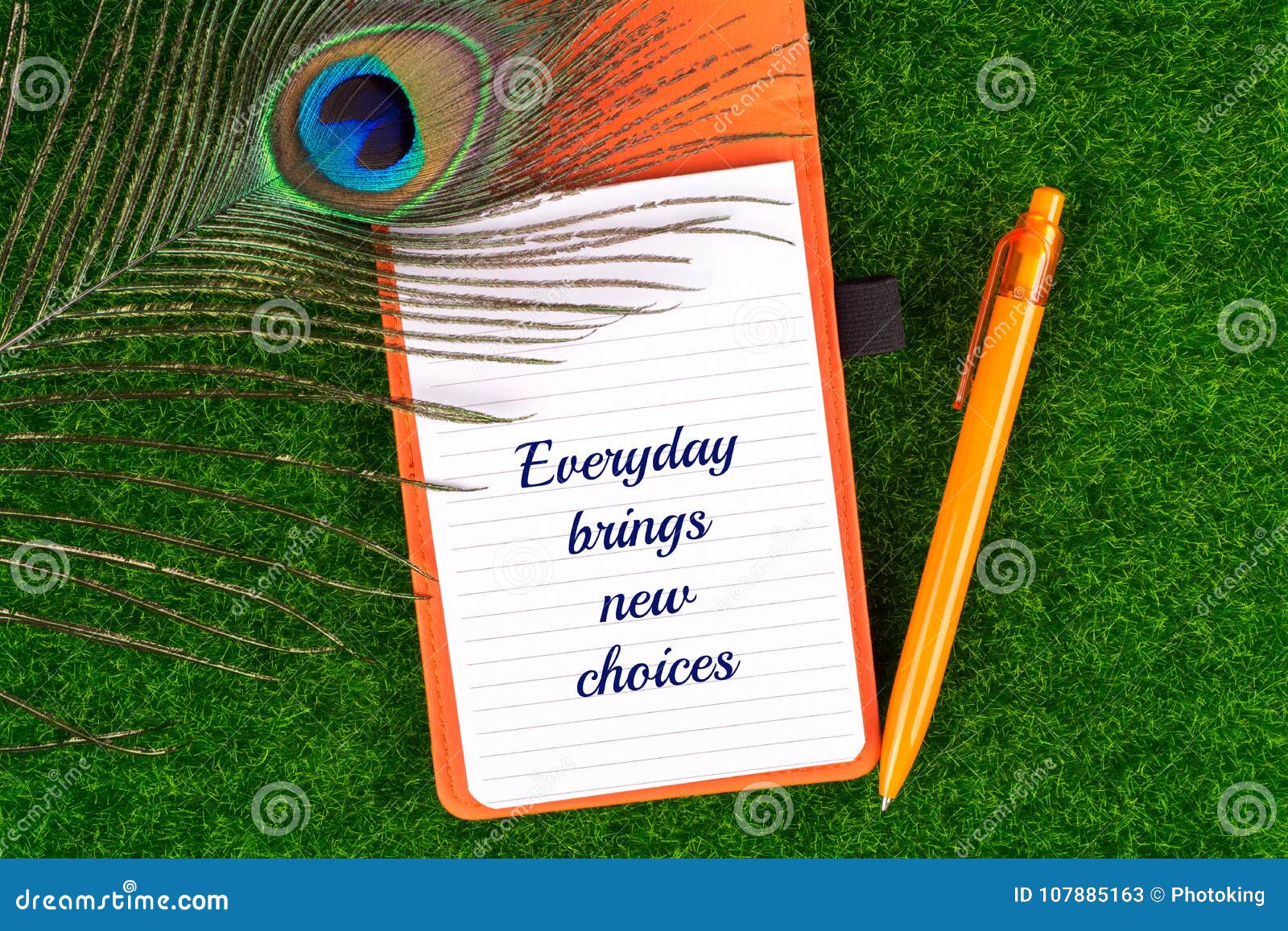 everyday brings new choices