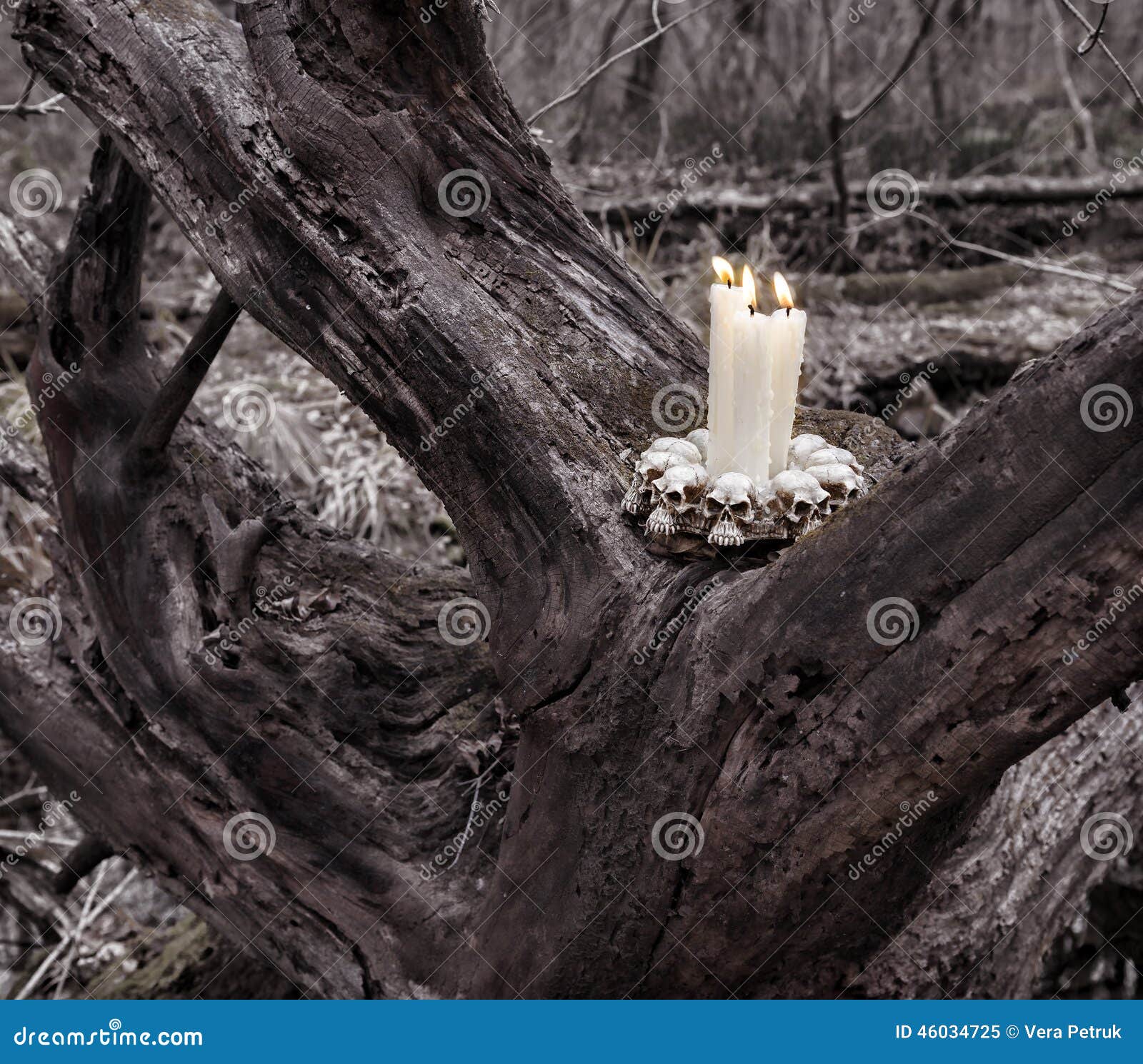 Evil Candles on the Tree in the Forest Stock Image Image of filters