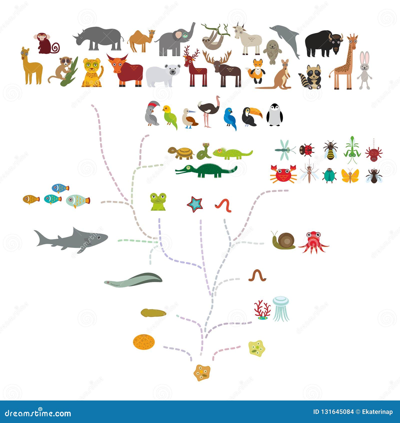 Evolución En Biología, Evolución Del Esquema De Los Animales Aislados En El Fondo Blanco Niños 'educación De S, Ciencia Escala Ilustración del Vector - Ilustración de jirafa, mariposa: 131645084 Evolución En Biología, Evolución Del Esquema De Los Animales Aislados En El Fondo Blanco Niños 'educación De S, Ciencia Escala Ilustración del Vector - Ilustración de jirafa, mariposa: 131645084