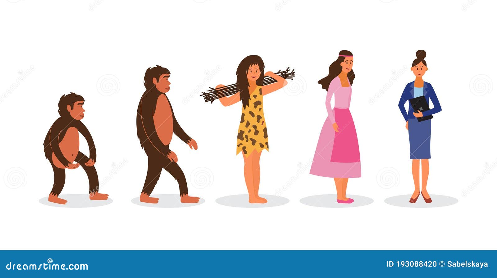 Evolución Femenina Del Mono a Las Mujeres De Negocios Dibujos Animados En  La Cadena Darwin Ilustración del Vector - Ilustración de moderno, humano:  193088420