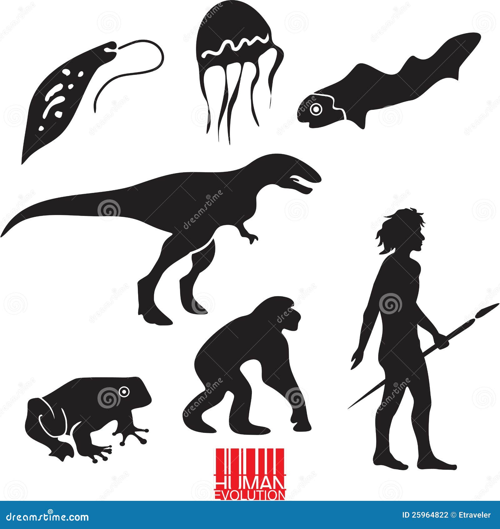 Evolución humana ilustración del vector. Ilustración de anfibio - 25964822 Evolución humana ilustración del vector. Ilustración de anfibio - 25964822