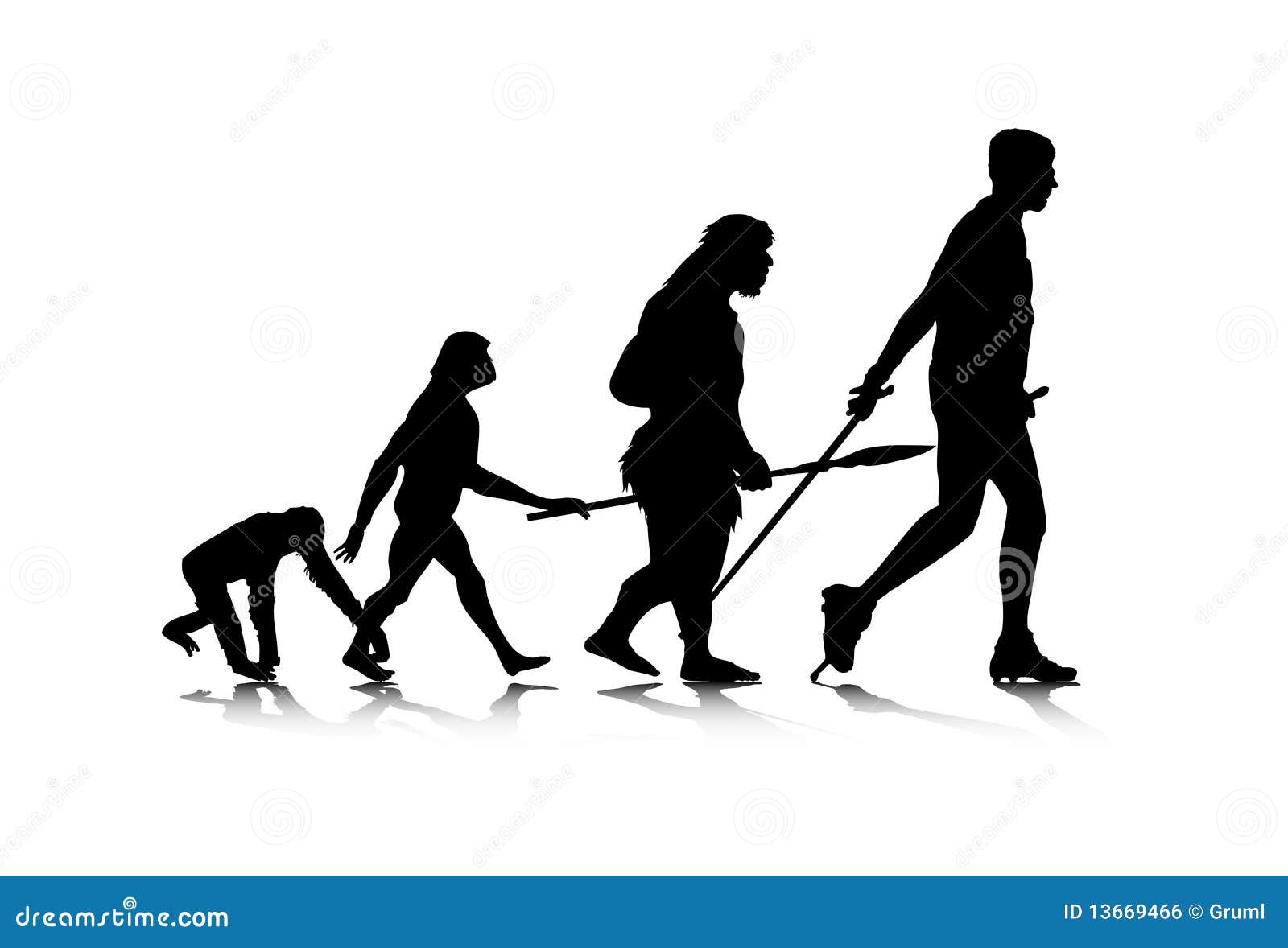 Filogenia Ilustraciones Stock, Vectores, Y Clipart – (52 Ilustraciones  Stock), image size:1600x1178