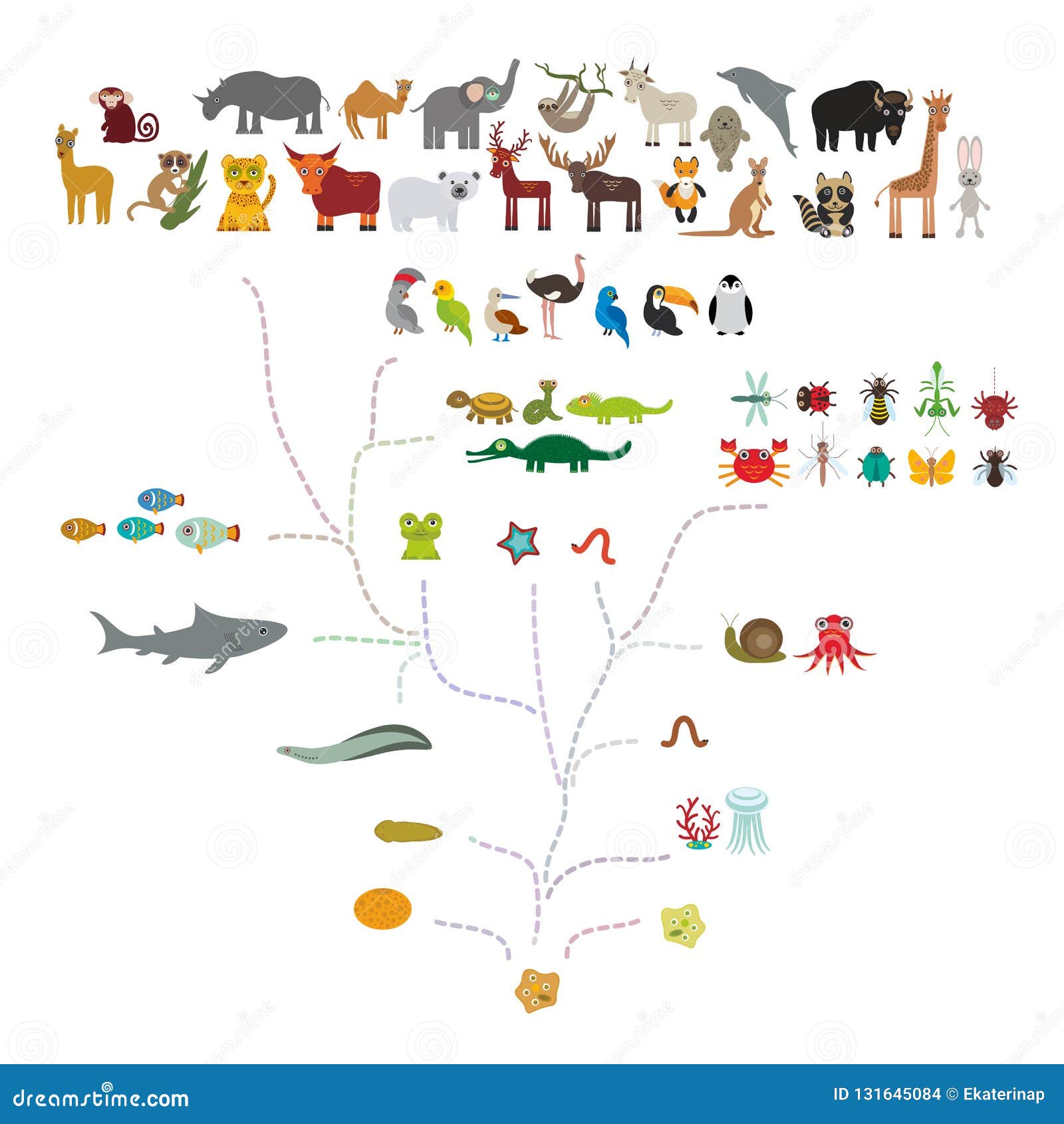 Evolution in Biology, Scheme Evolution of Animals Isolated on White  Background. Children S Education, Science Stock Vector - Illustration of  monkey, lizard: 131645084