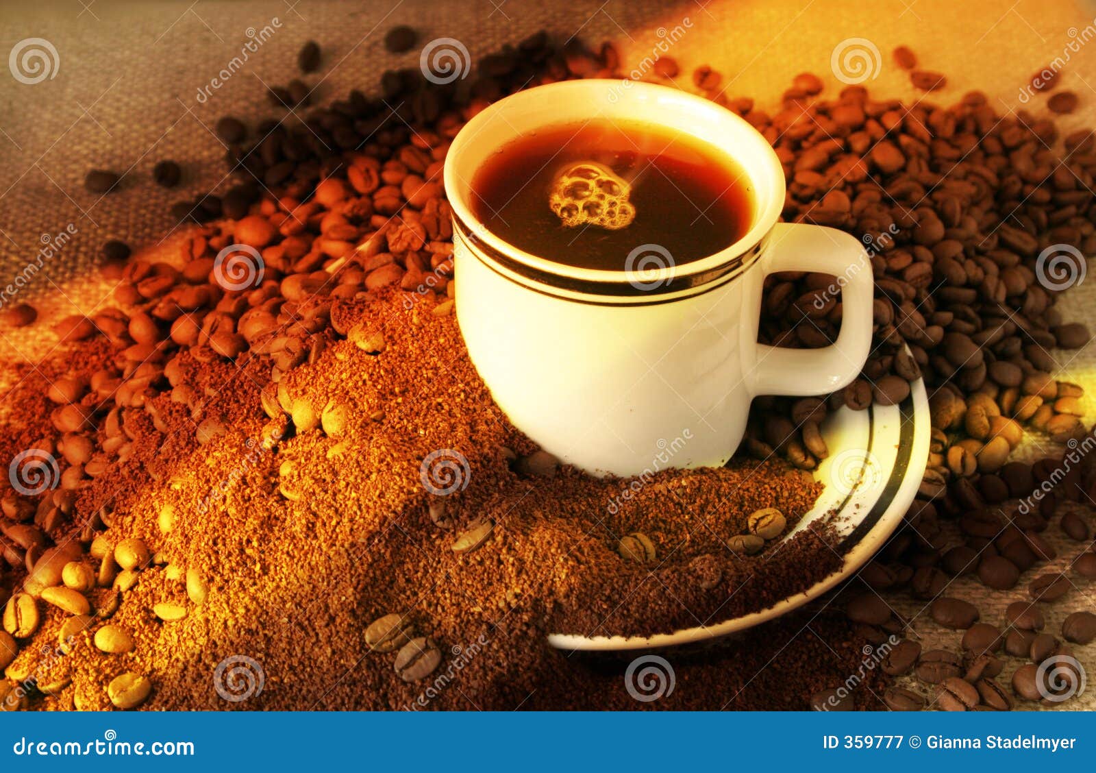the evolution of coffee