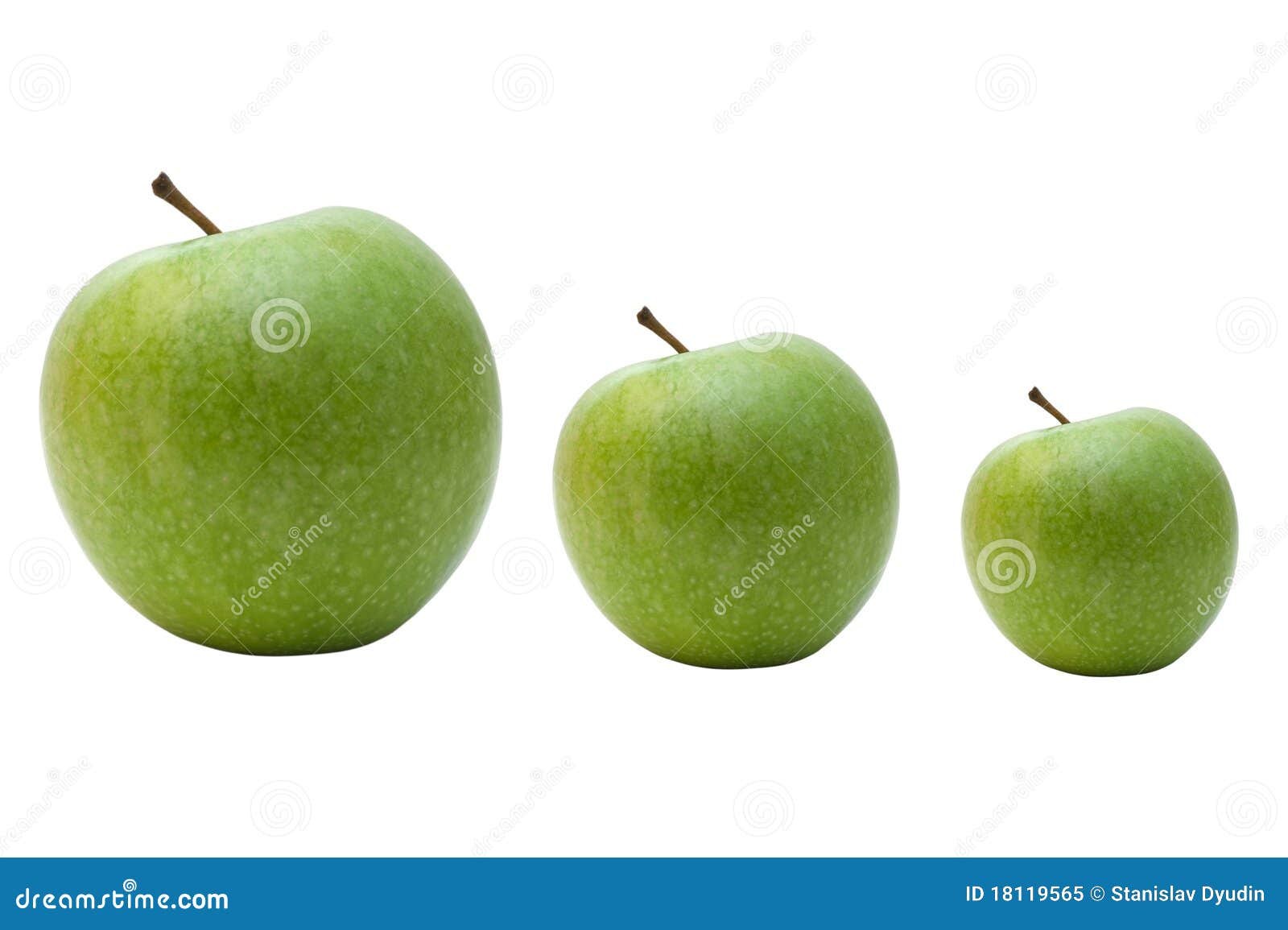 Evolution of green apples stock image. Image of color 18119565