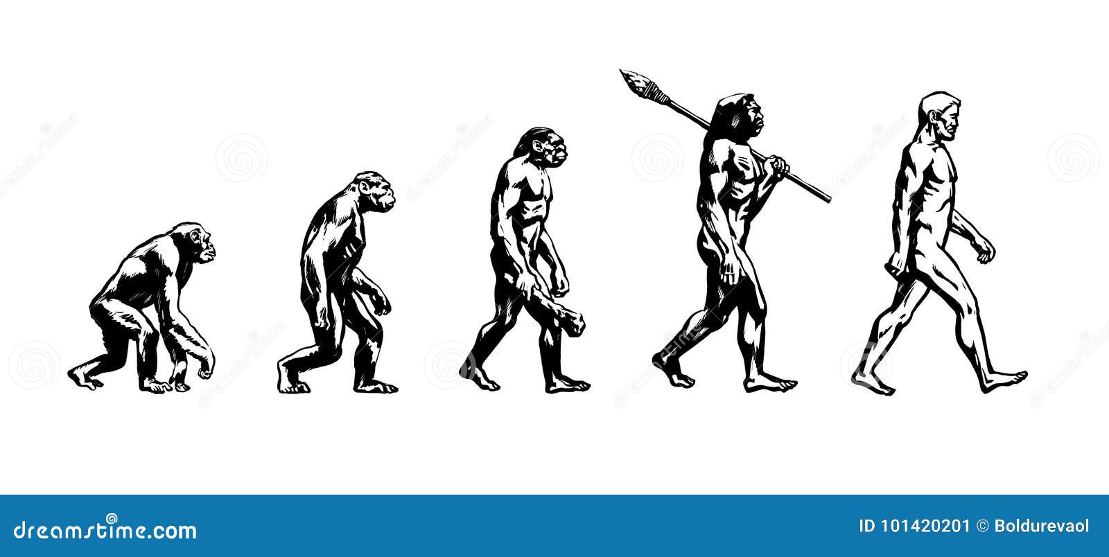 Evolution Of Man Wallpaper