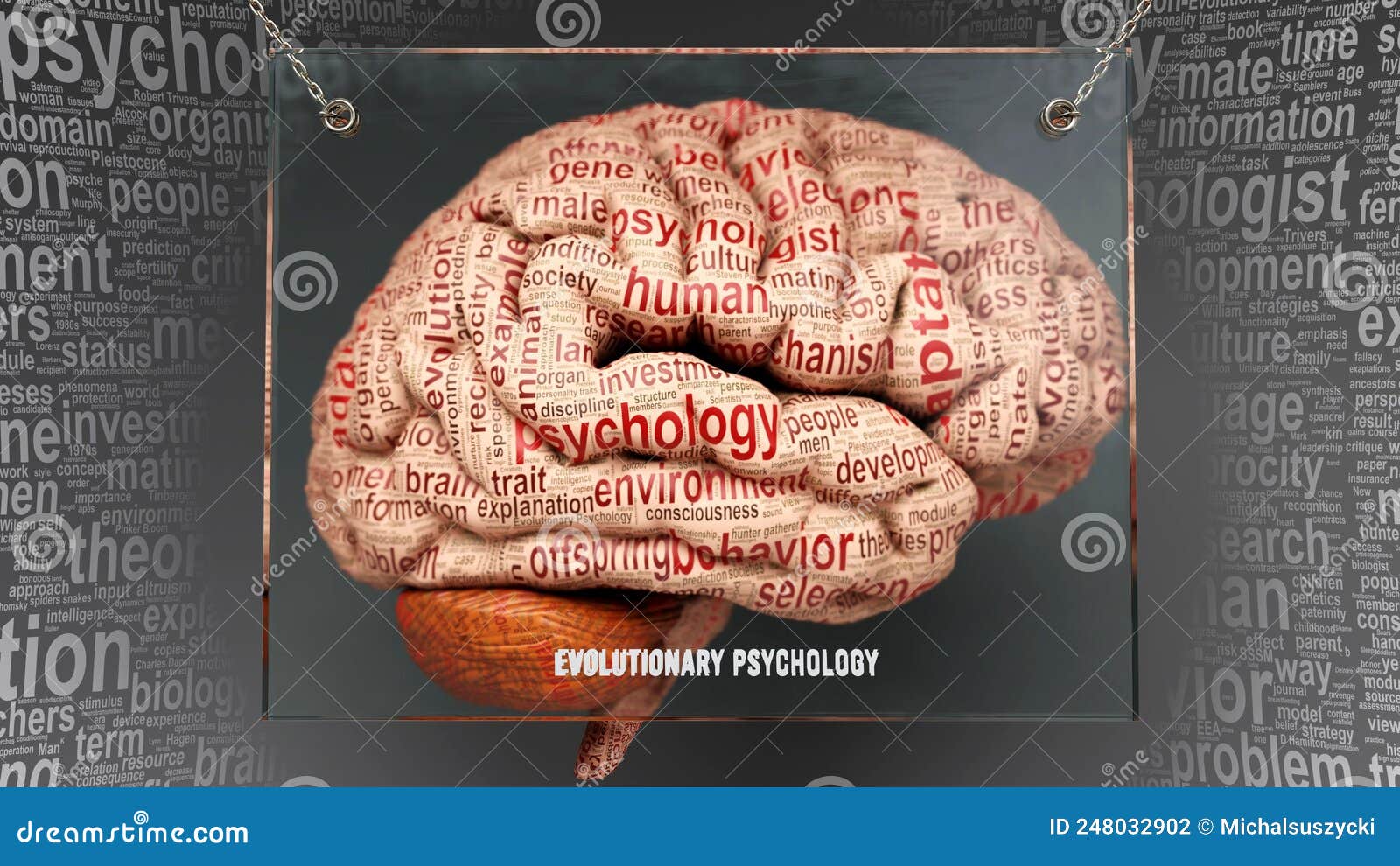 evolutionary psychology in human brain