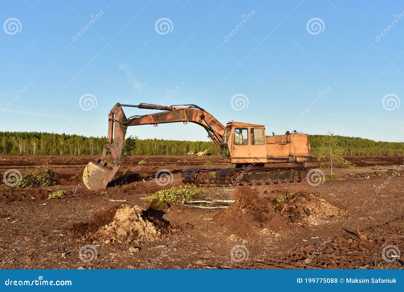 Destruction Of Trees On Peatlands And Drainage Of Peat Bogs At