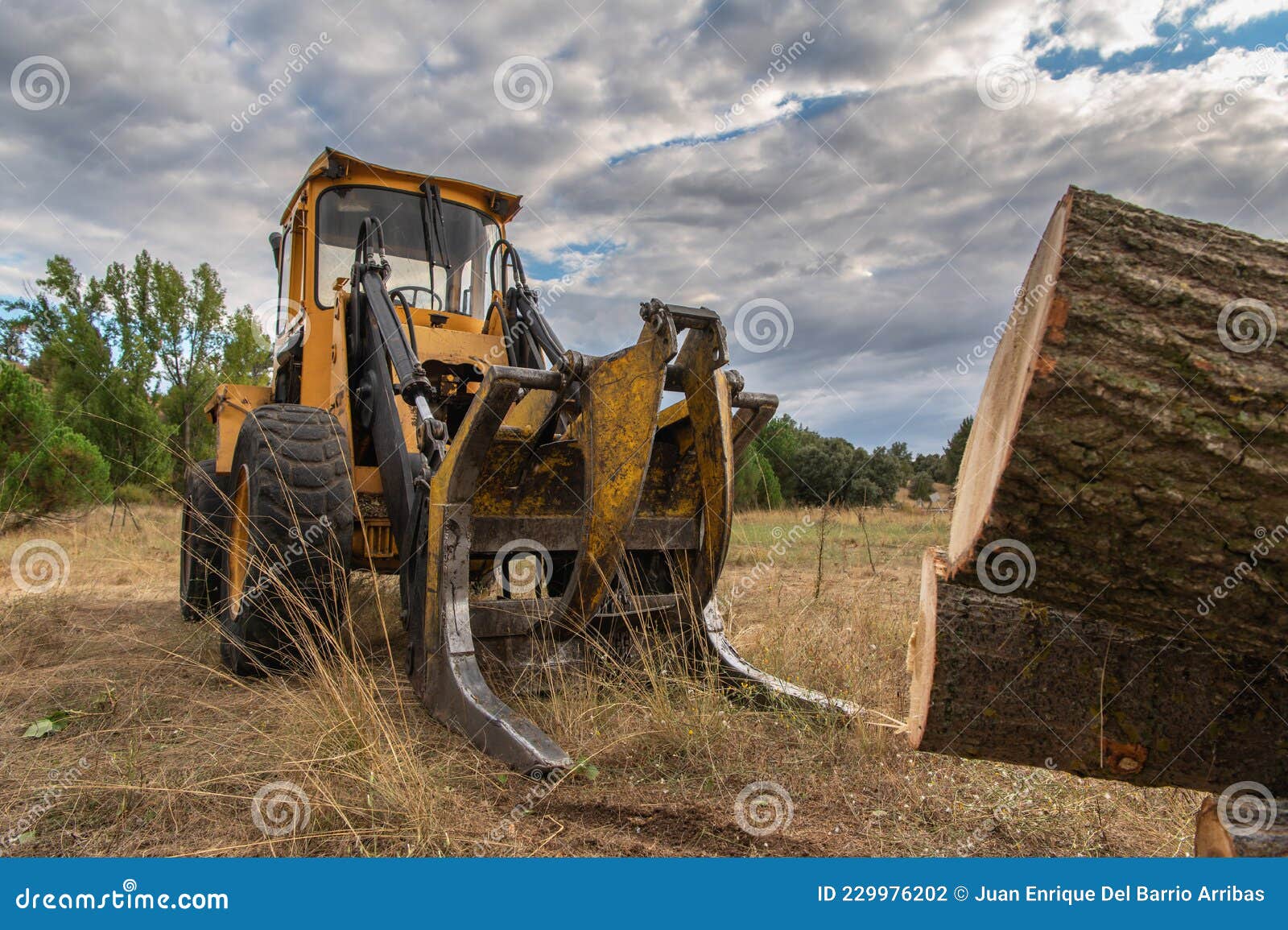 Excavator with Grapple for Transporting Logs in a Forestry Operation