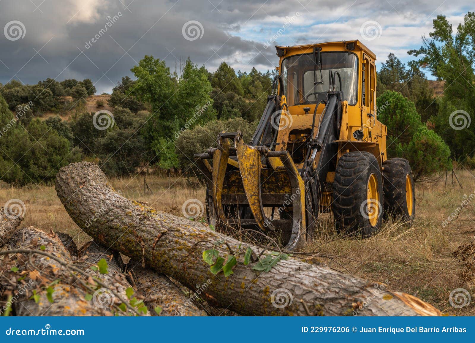 Excavator with Grapple for Transporting Logs in a Forestry Operation
