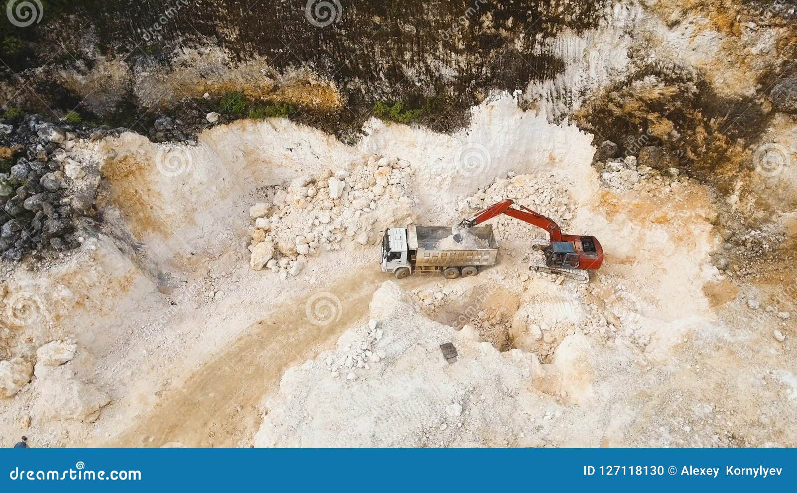 Vector Robot Price Philippines Vector Robot Price Philippines