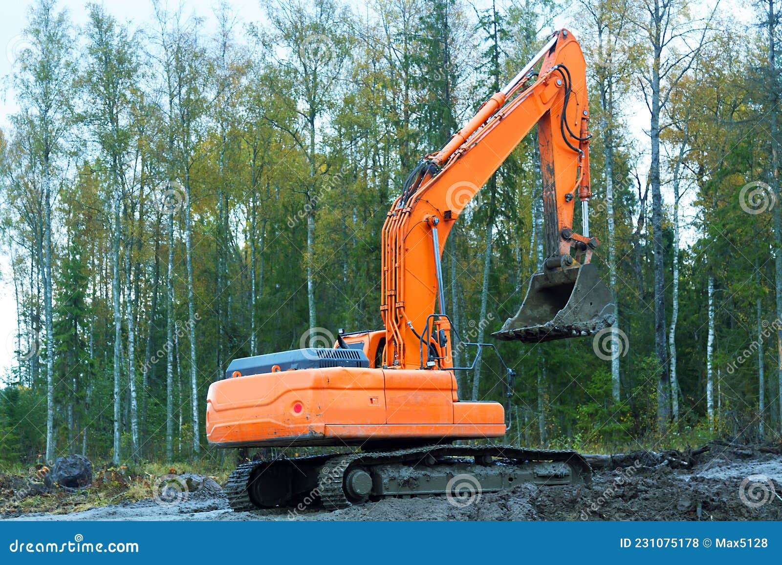 Excavators for Work in the Northern Forest Zone Stock Photo Image of