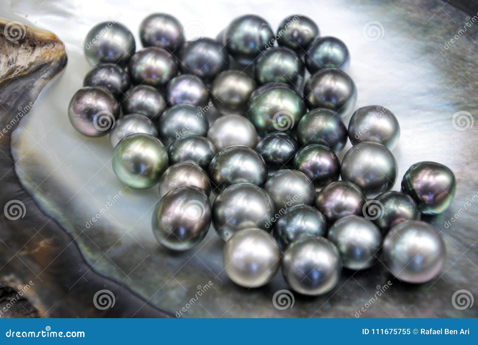 excellent round tahitian black pearls