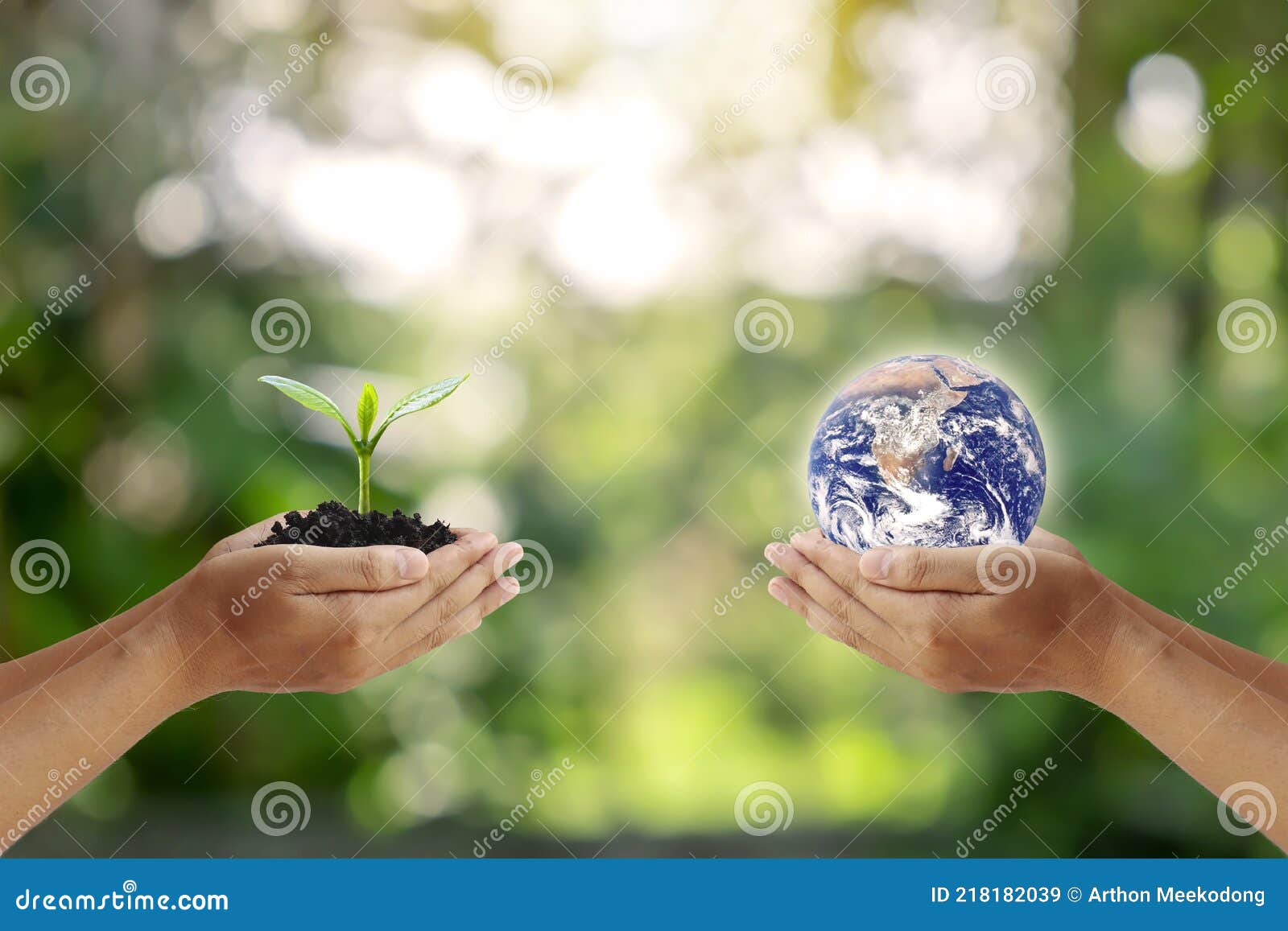 Exchange of in the Hands of Humans with Young Plants in the Hands of Humans Elements of