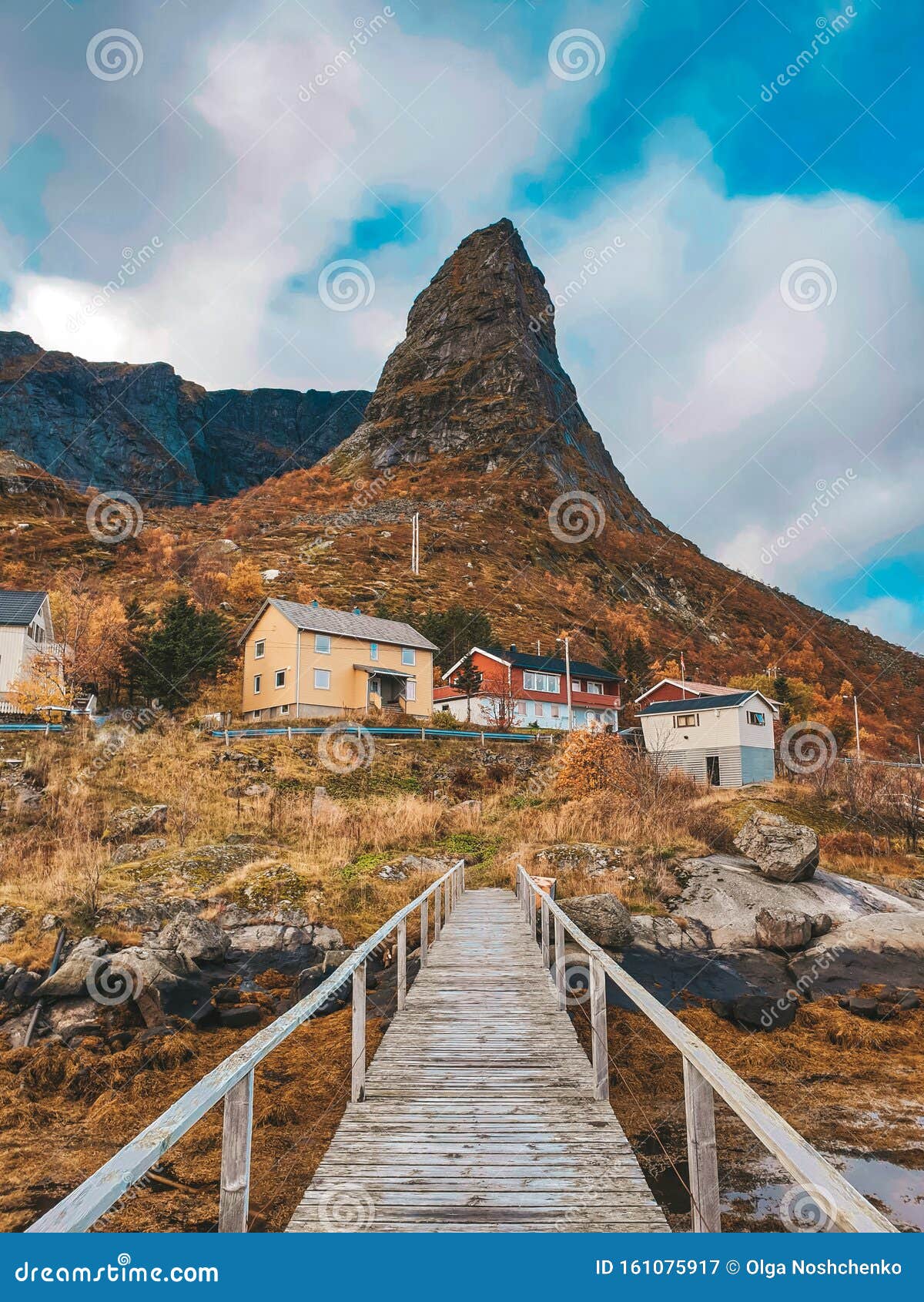 road to the mountain. norway.