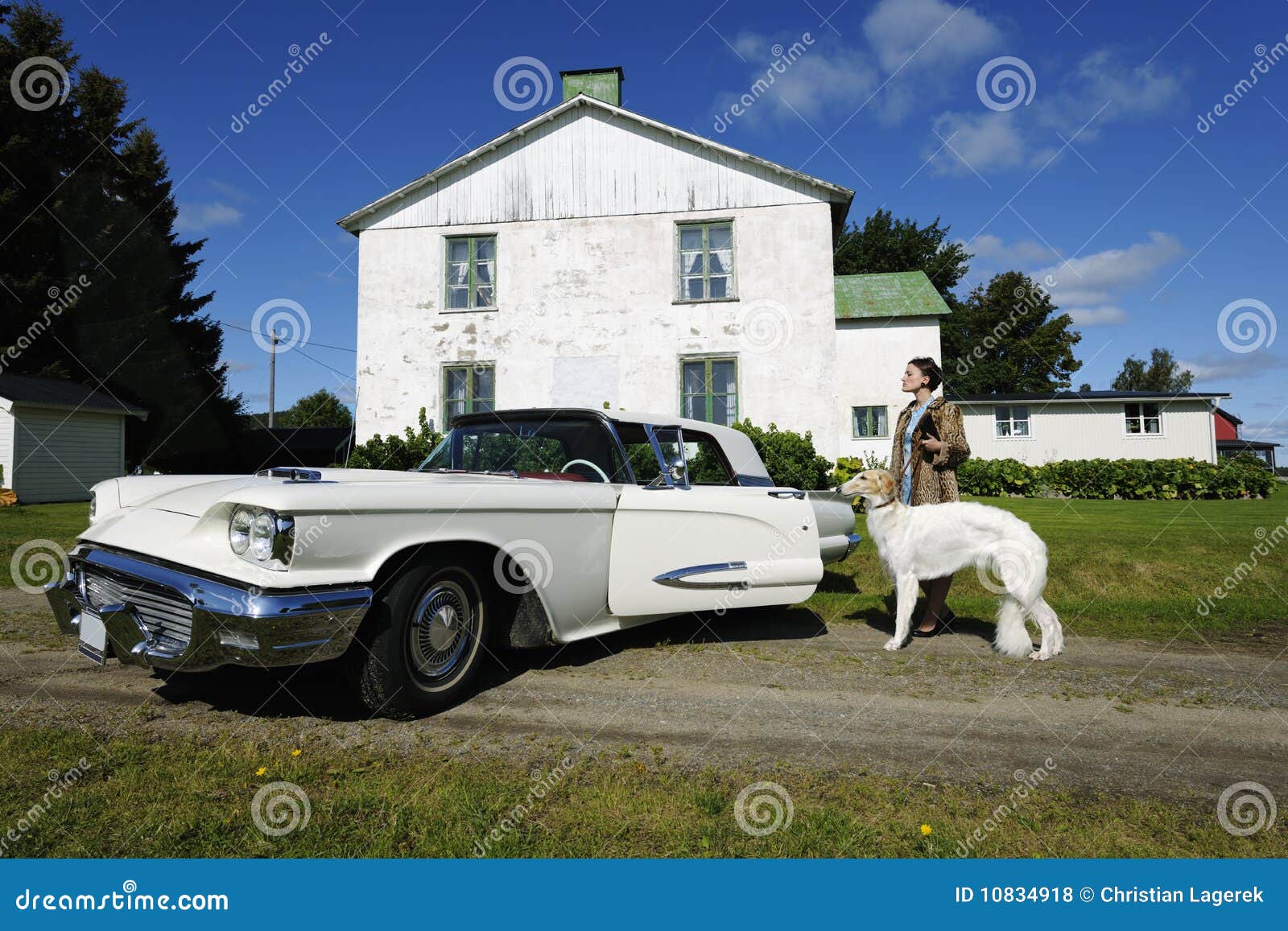 Exclusive Woman with Dog and Car Stock Photo Image of house