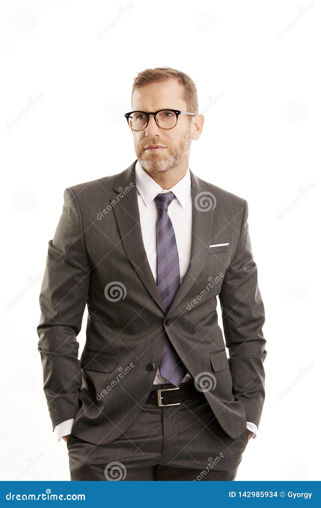 Executive Senior Lawyer Portrait Stock Photo - Image of person, mature ...