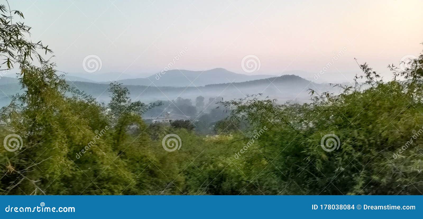 Exemplos De Frases Da Selva Foto de Stock - Imagem de noite, terminado: 178038084 Exemplos De Frases Da Selva Foto de Stock - Imagem de noite, terminado: 178038084
