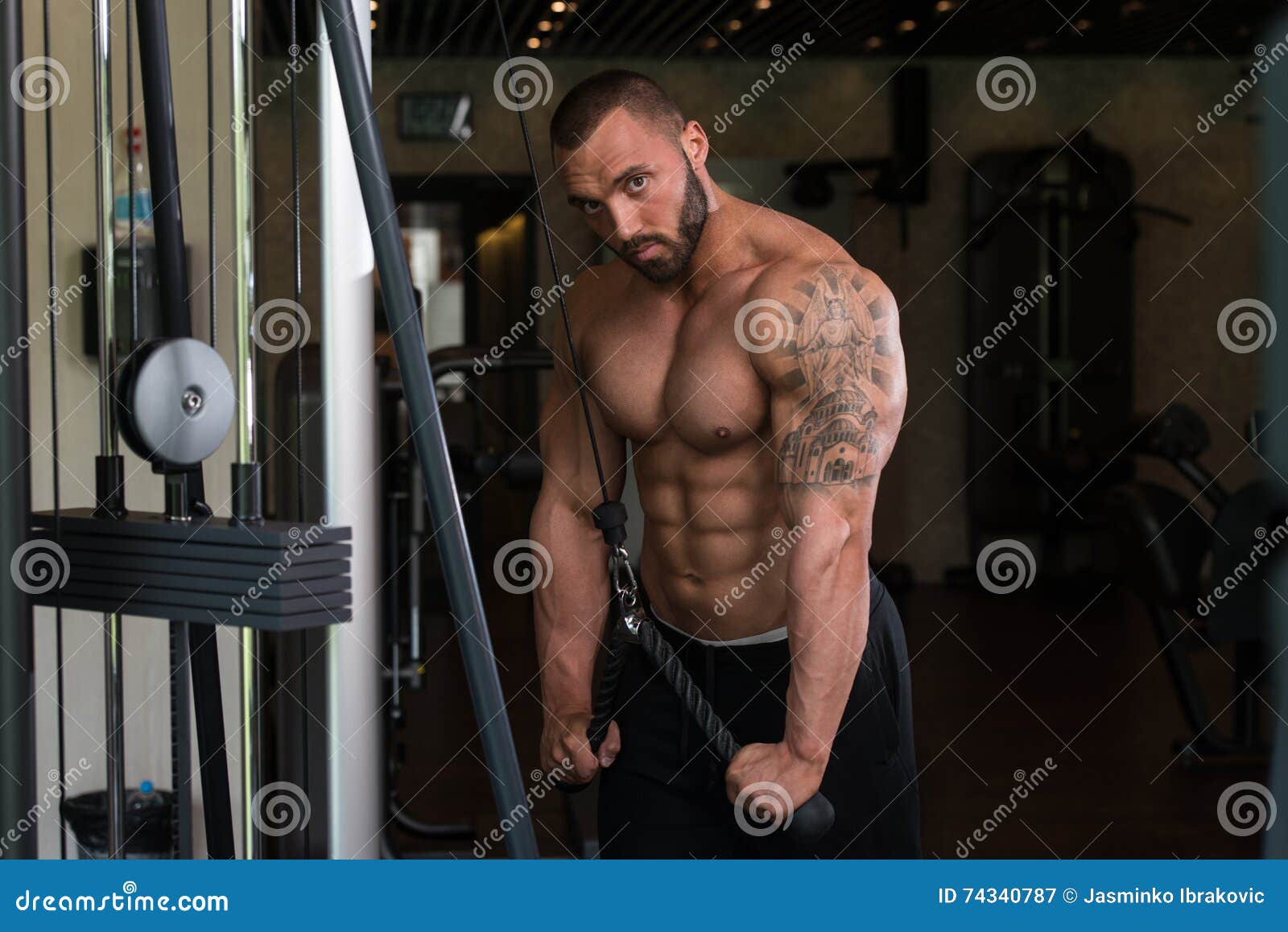 Exercício Do Tríceps Com Cabos Imagem de Stock - Imagem de esporte, cara:  74340787, image size:1600x1158