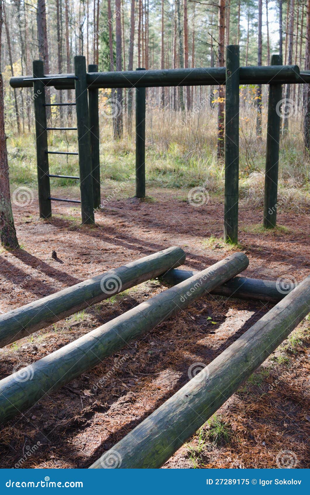 Exercise Equipment in a Forest Park Stock Image Image of grass, active 27289175