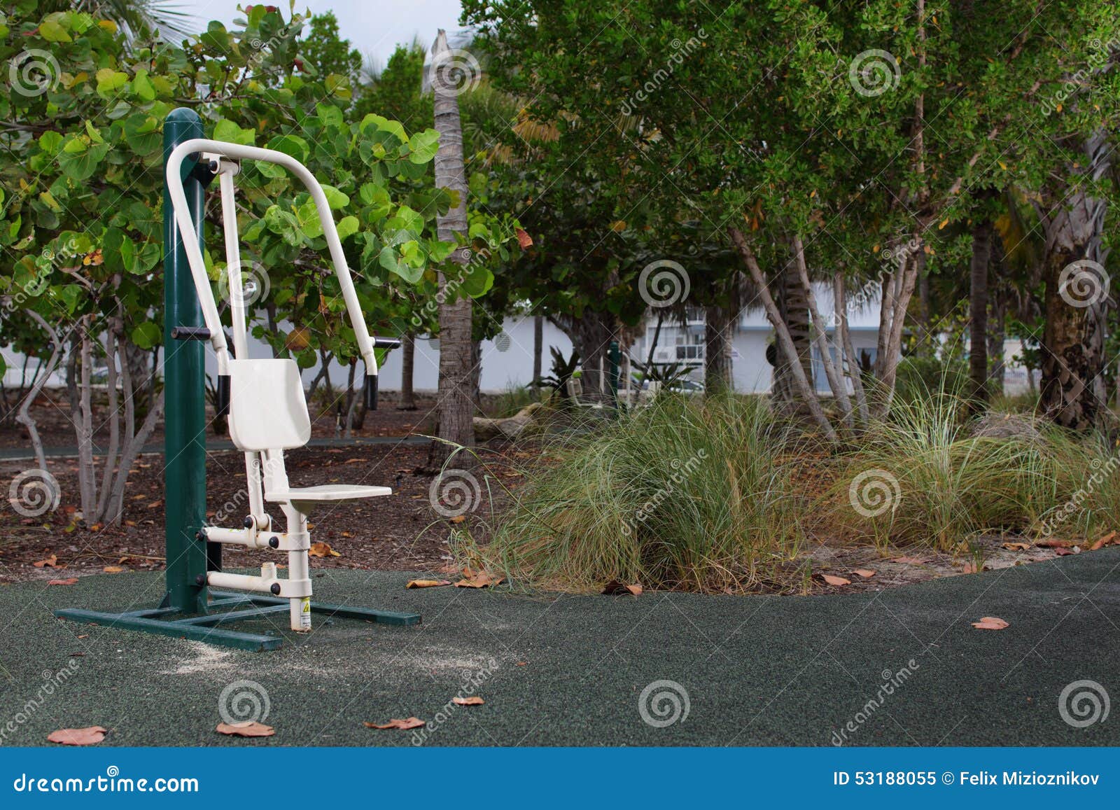 Exercise Equipment in the Park Stock Image Image of outdoors, nature