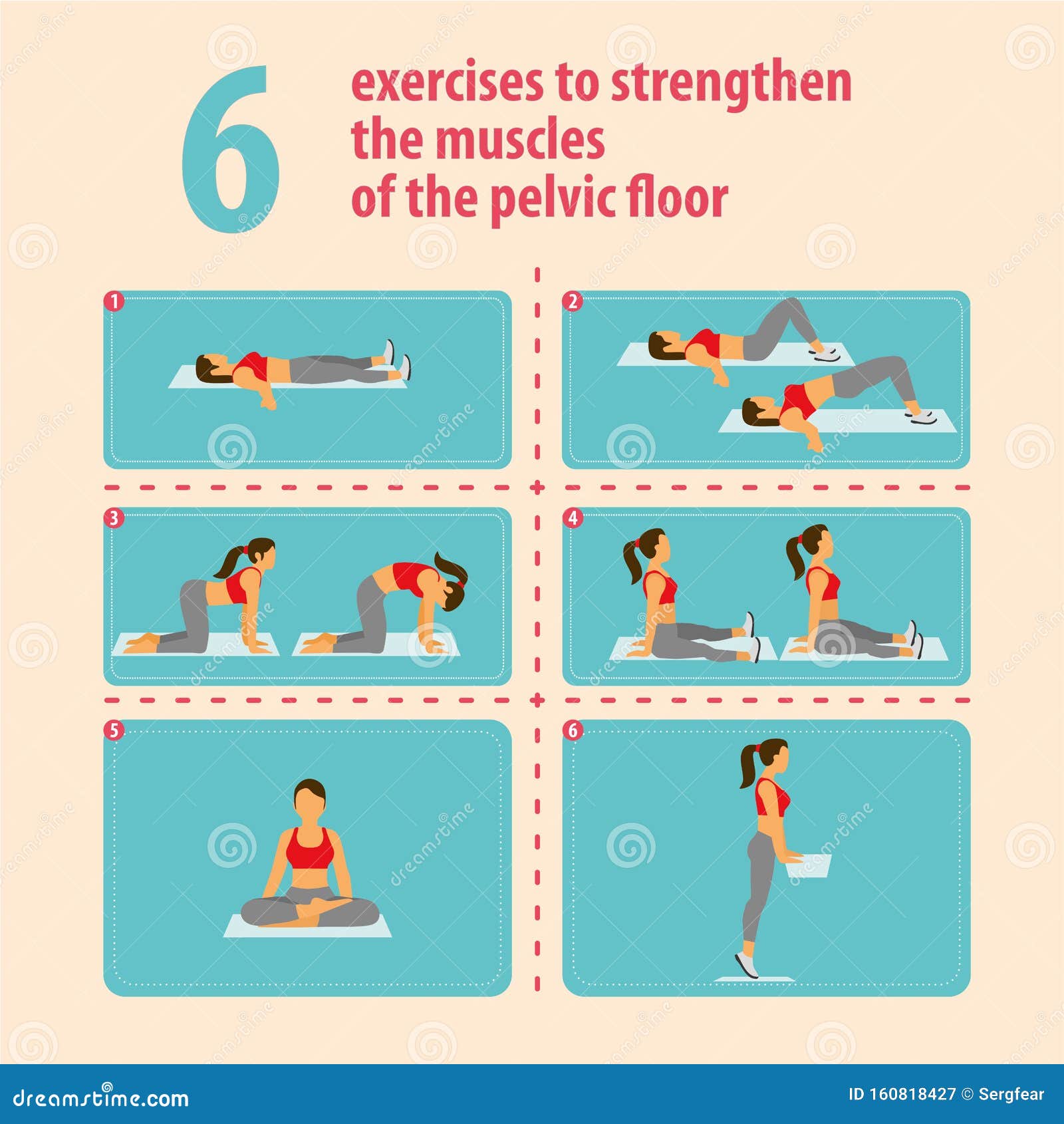 Printable Seated Pelvic Floor Exercises
