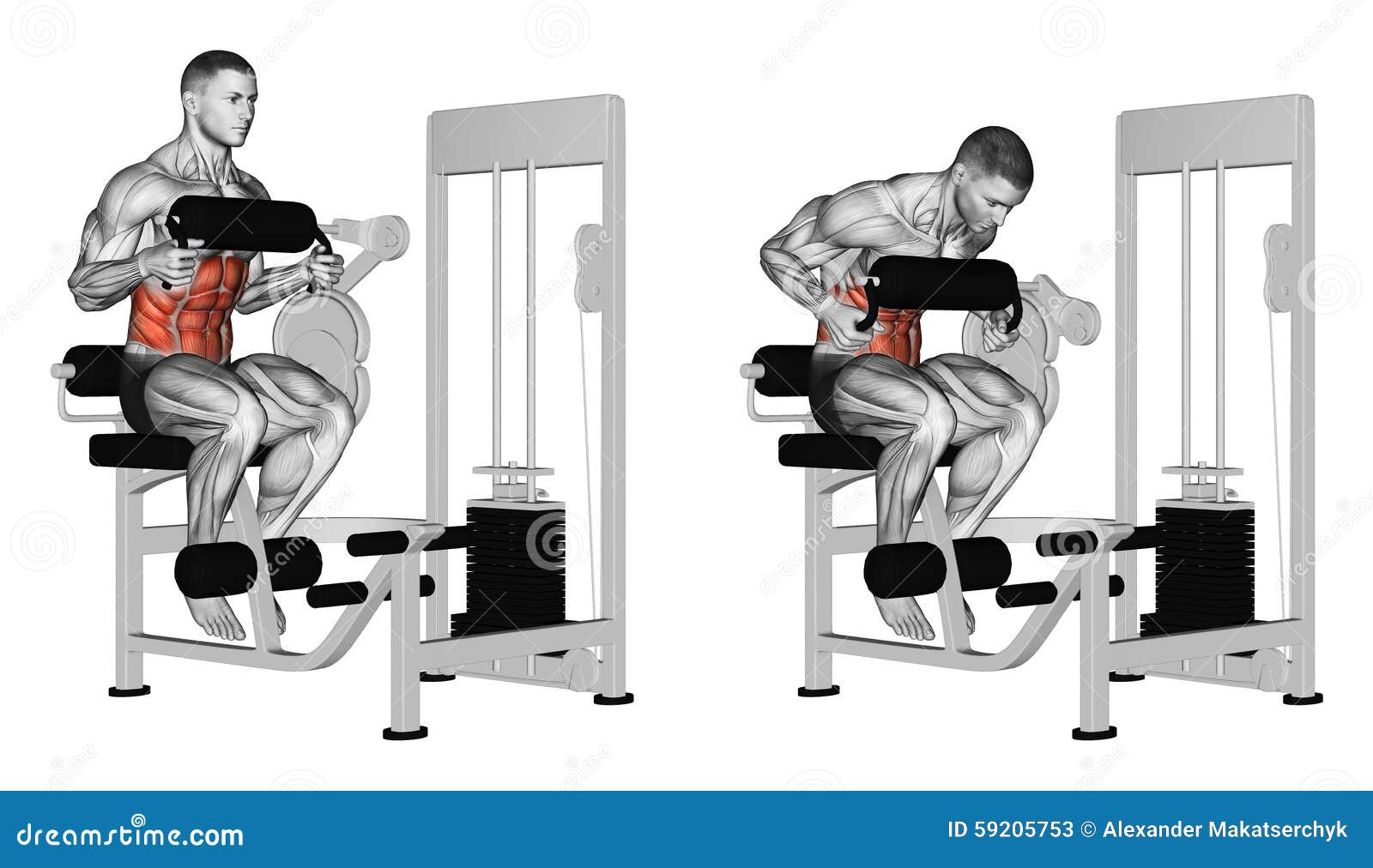 reverse crunch target muscles reverse crunch target muscles