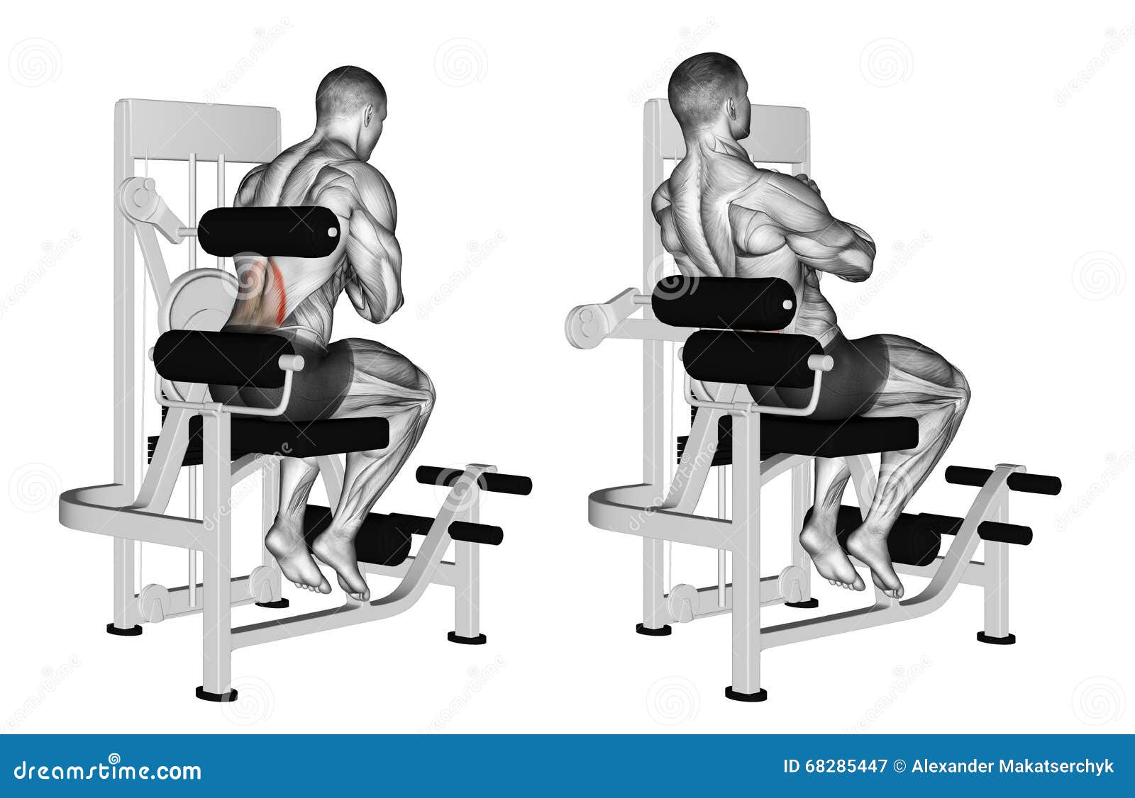  machine. Exercising for bodybuilding Target muscles are marked in red