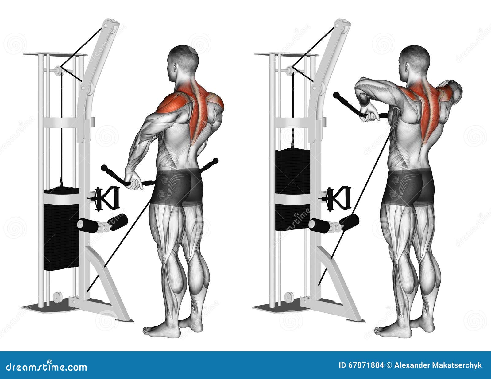 what are upright rows