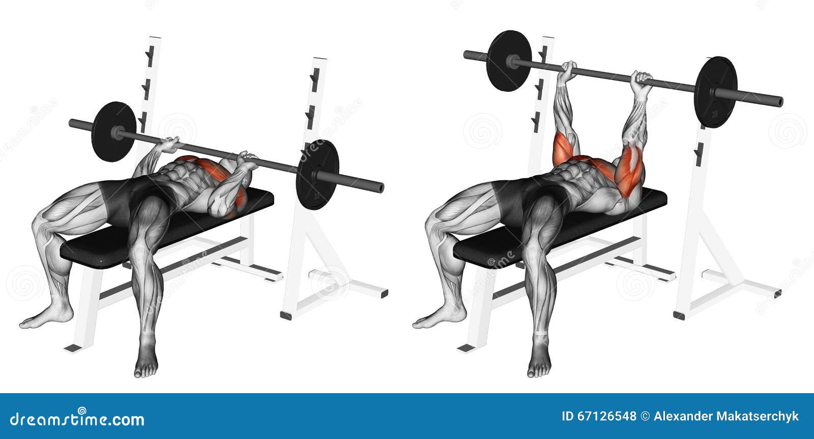 Exercising Close Grip Barbell Bench Press Stock Illustration Illustration Of Final